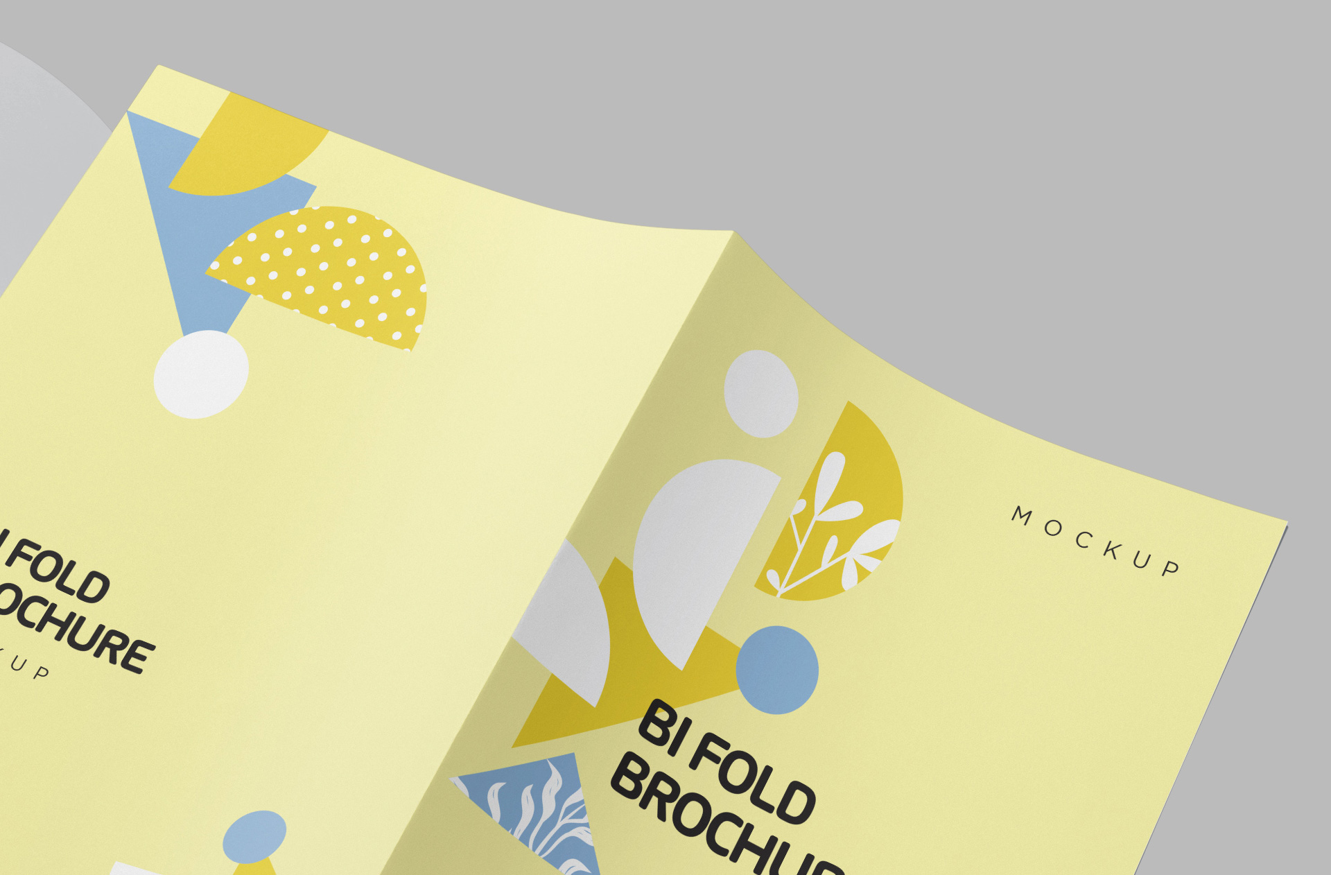 A4 professional brochure