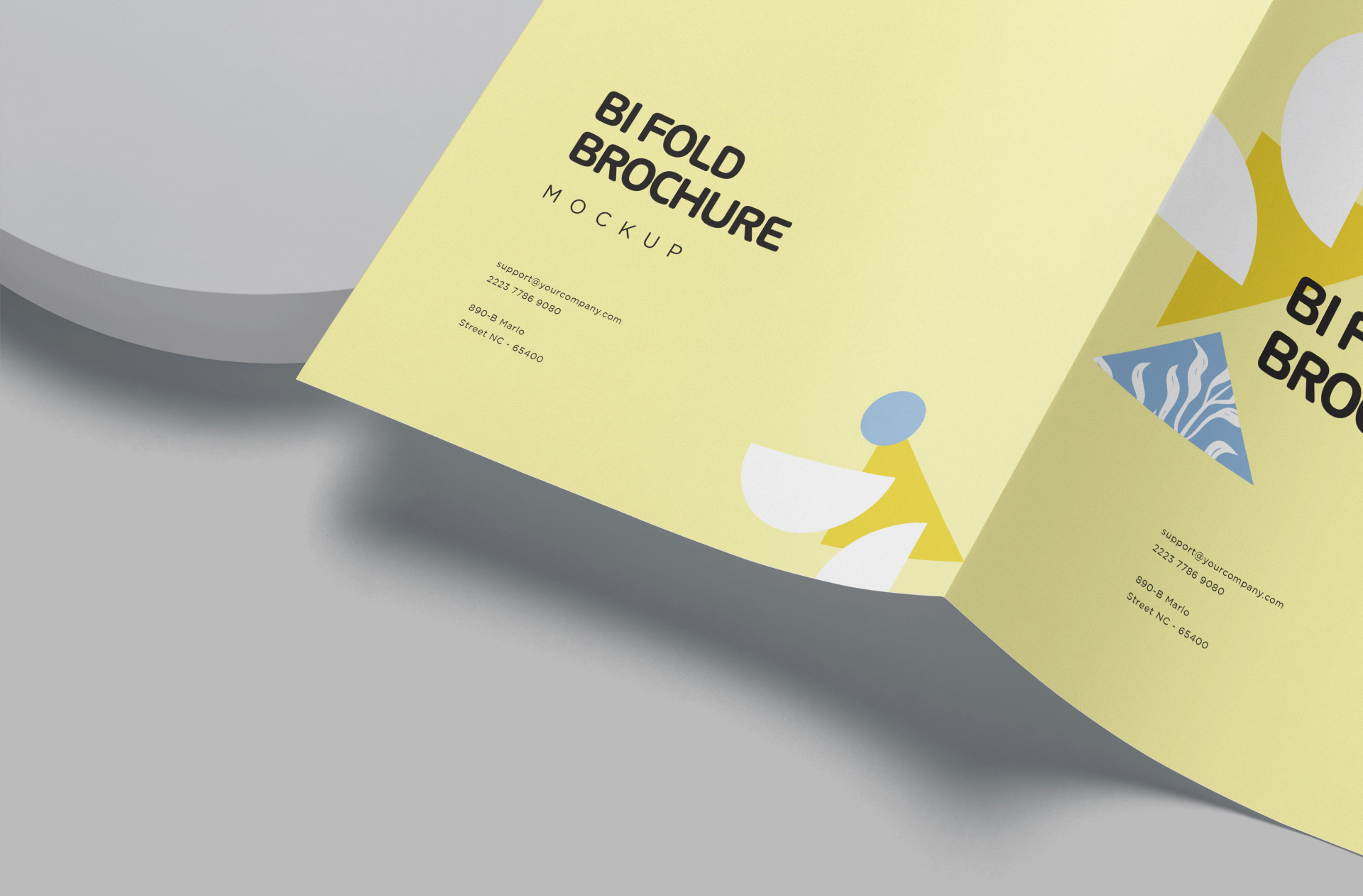 A4 professional brochure