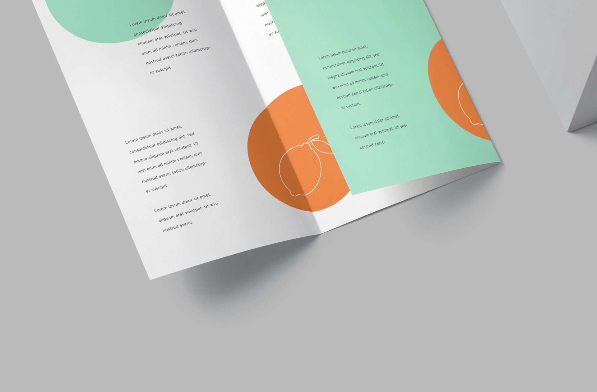A4 business flyer
