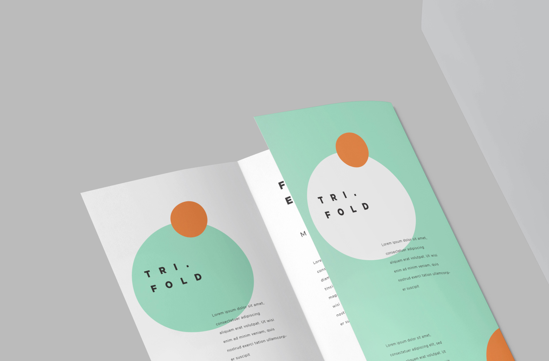 A4 business flyer