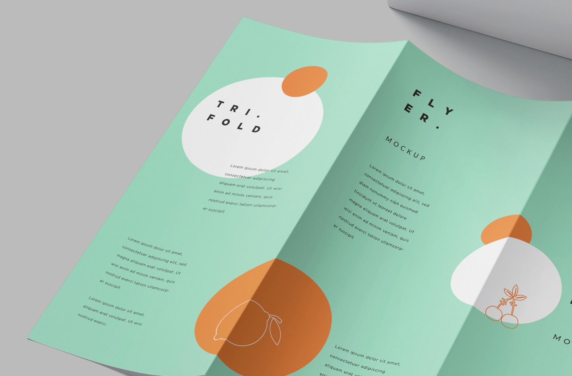 A4 folded flyer