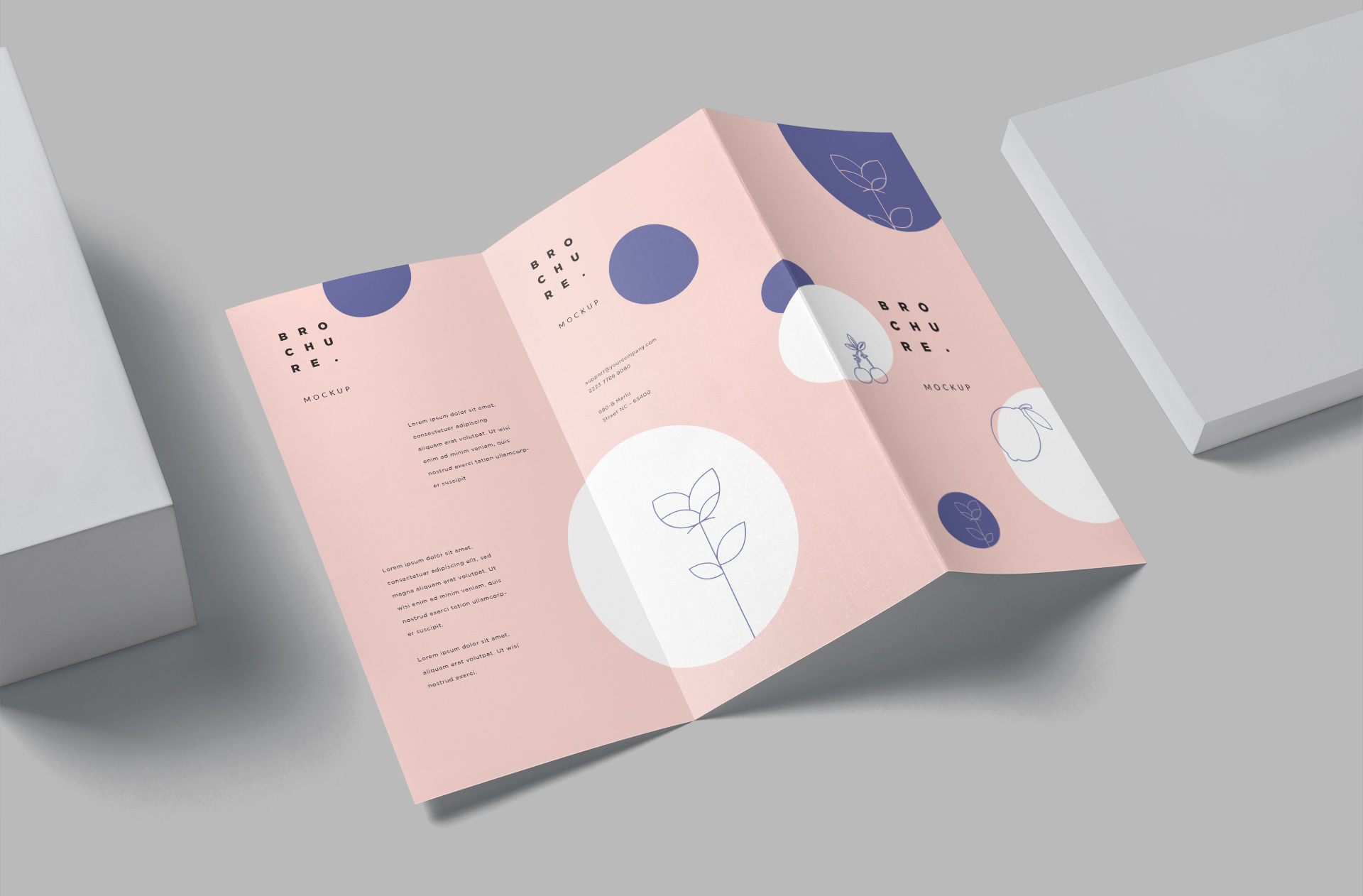 Elegant DL Tri-Fold Brochure Mockup for Promotions