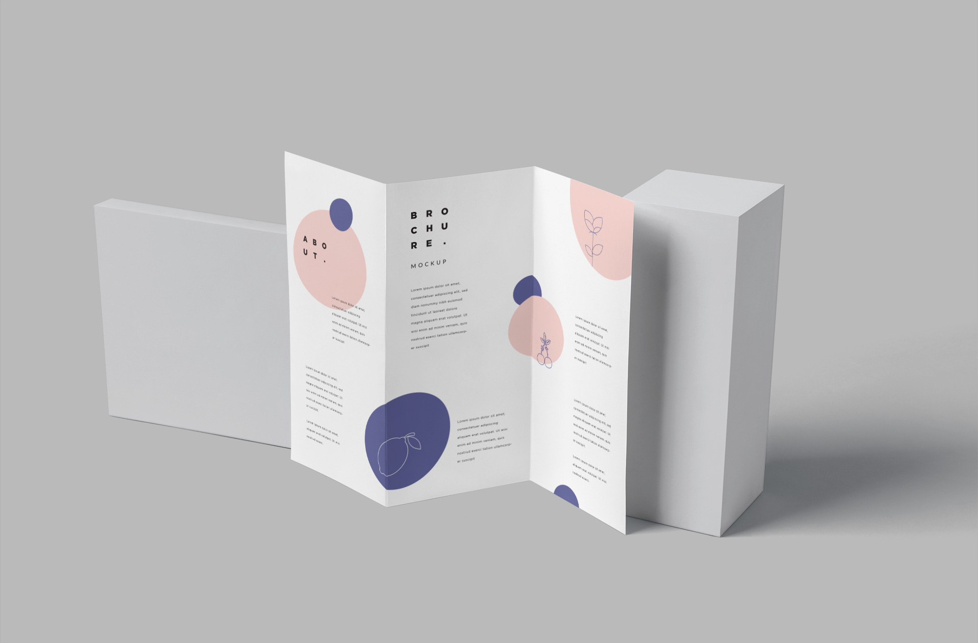Realistic DL Tri-Fold Brochure Mockup for Business Use
