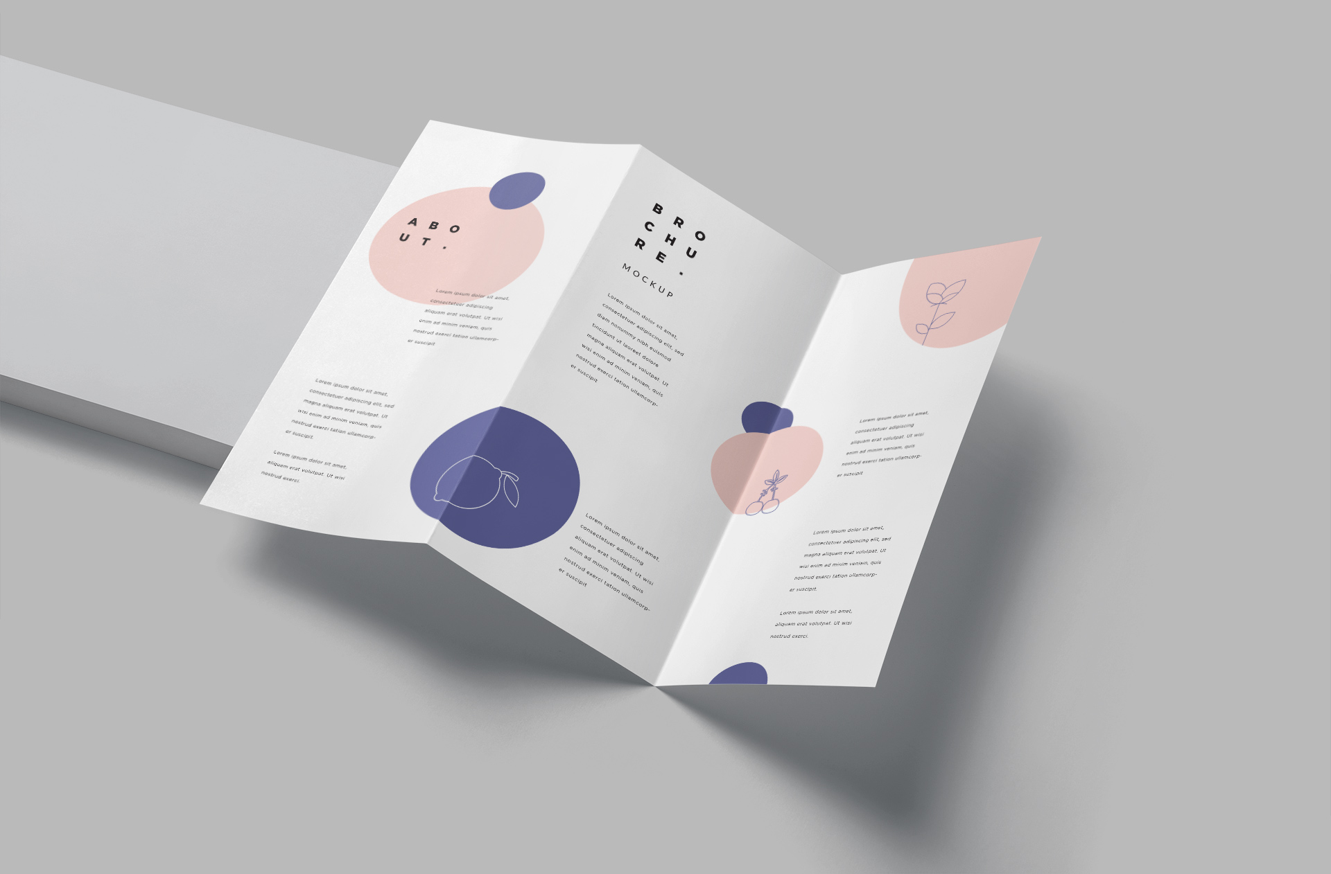 Premium DL Tri-Fold Brochure Mockup with Editable Layout