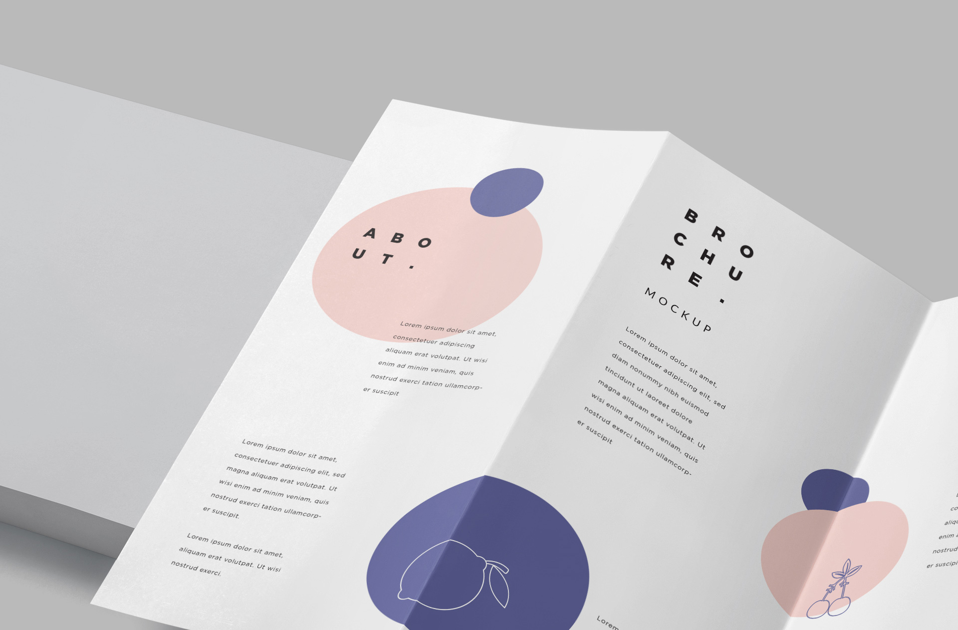 advertising brochure mockup