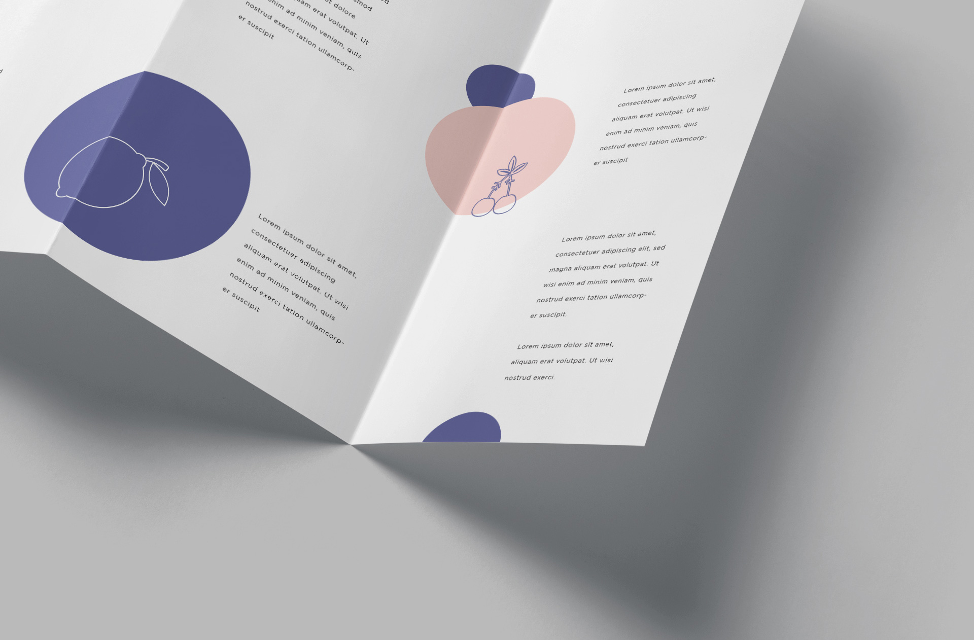 advertising brochure mockup