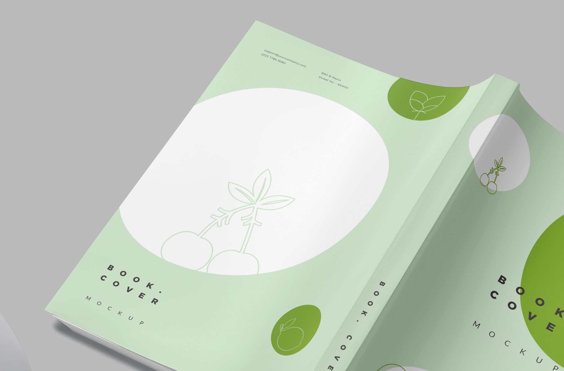 academic book PSD