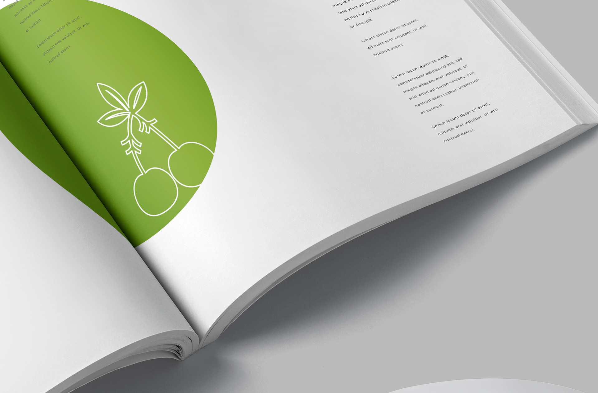academic book cover