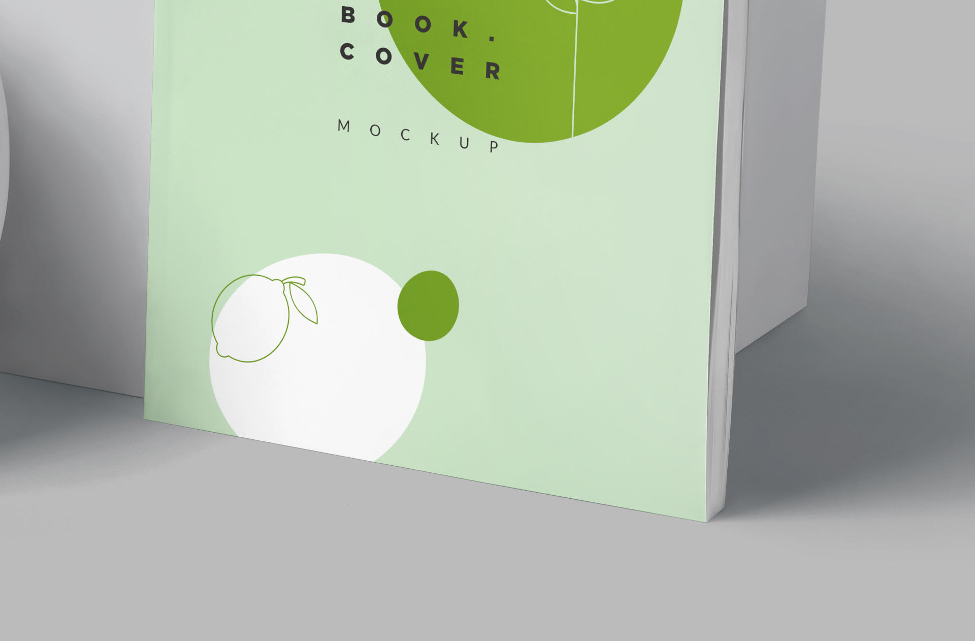 academic book PSD