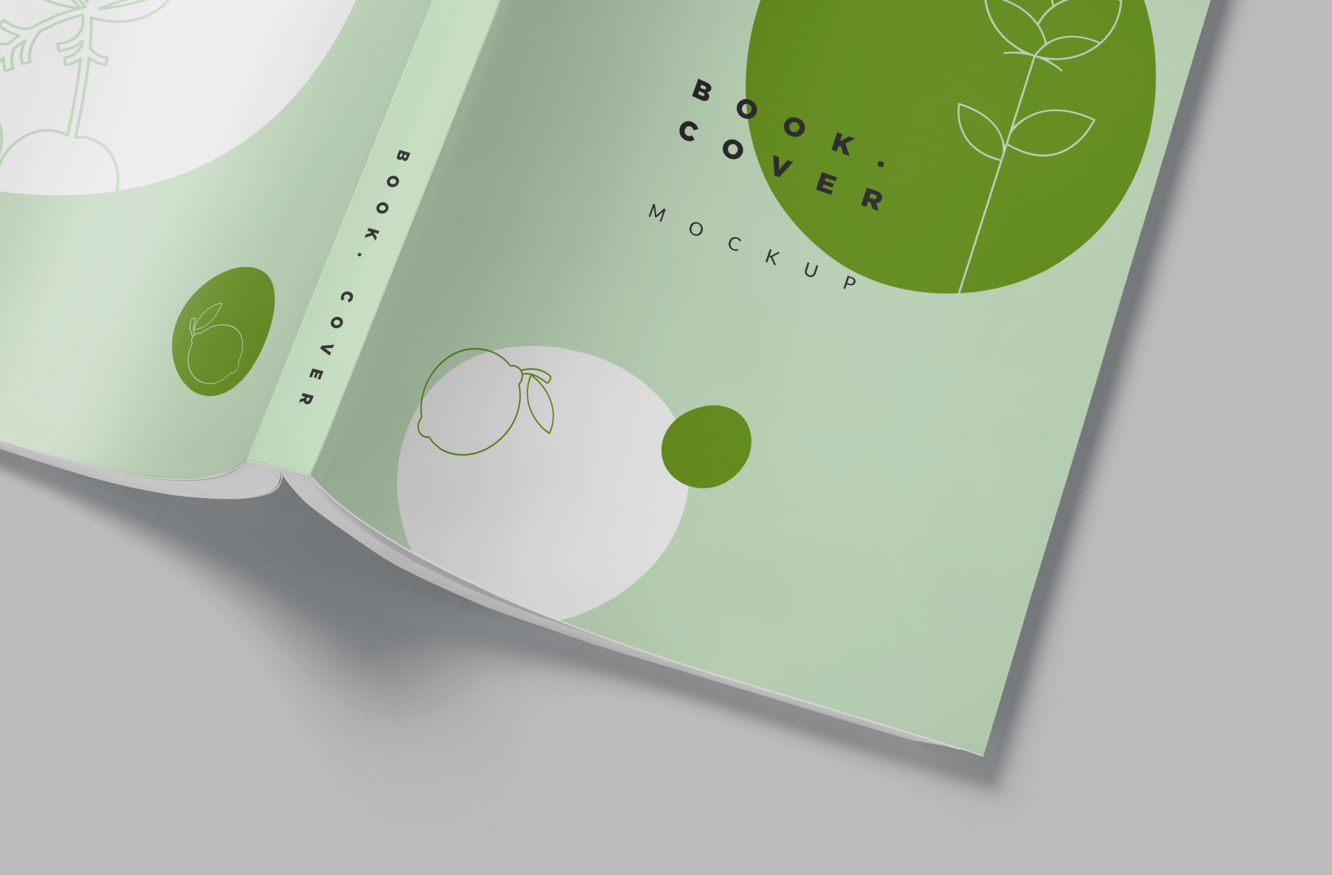 academic book PSD