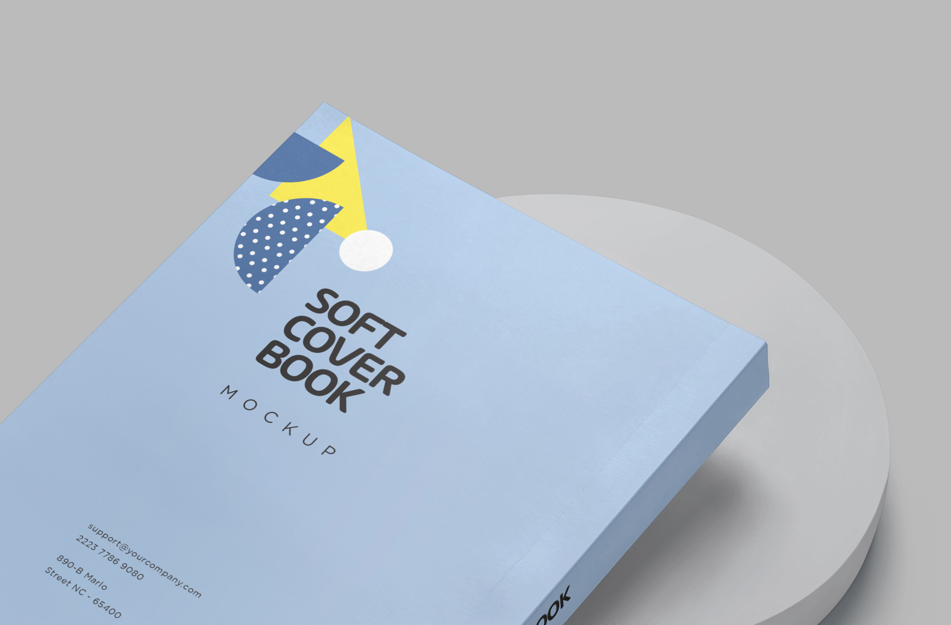 academic book cover