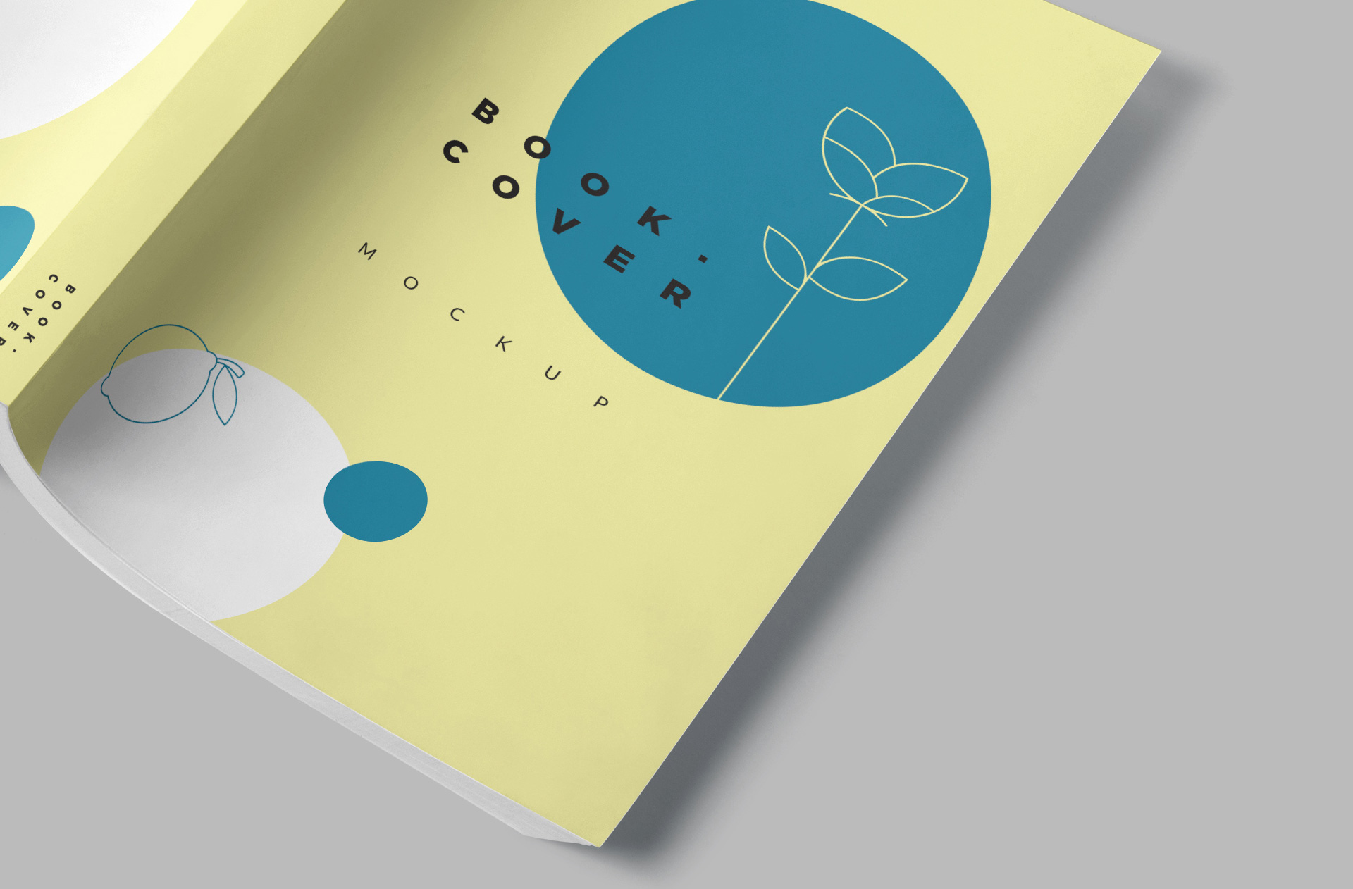 A4 book mockup