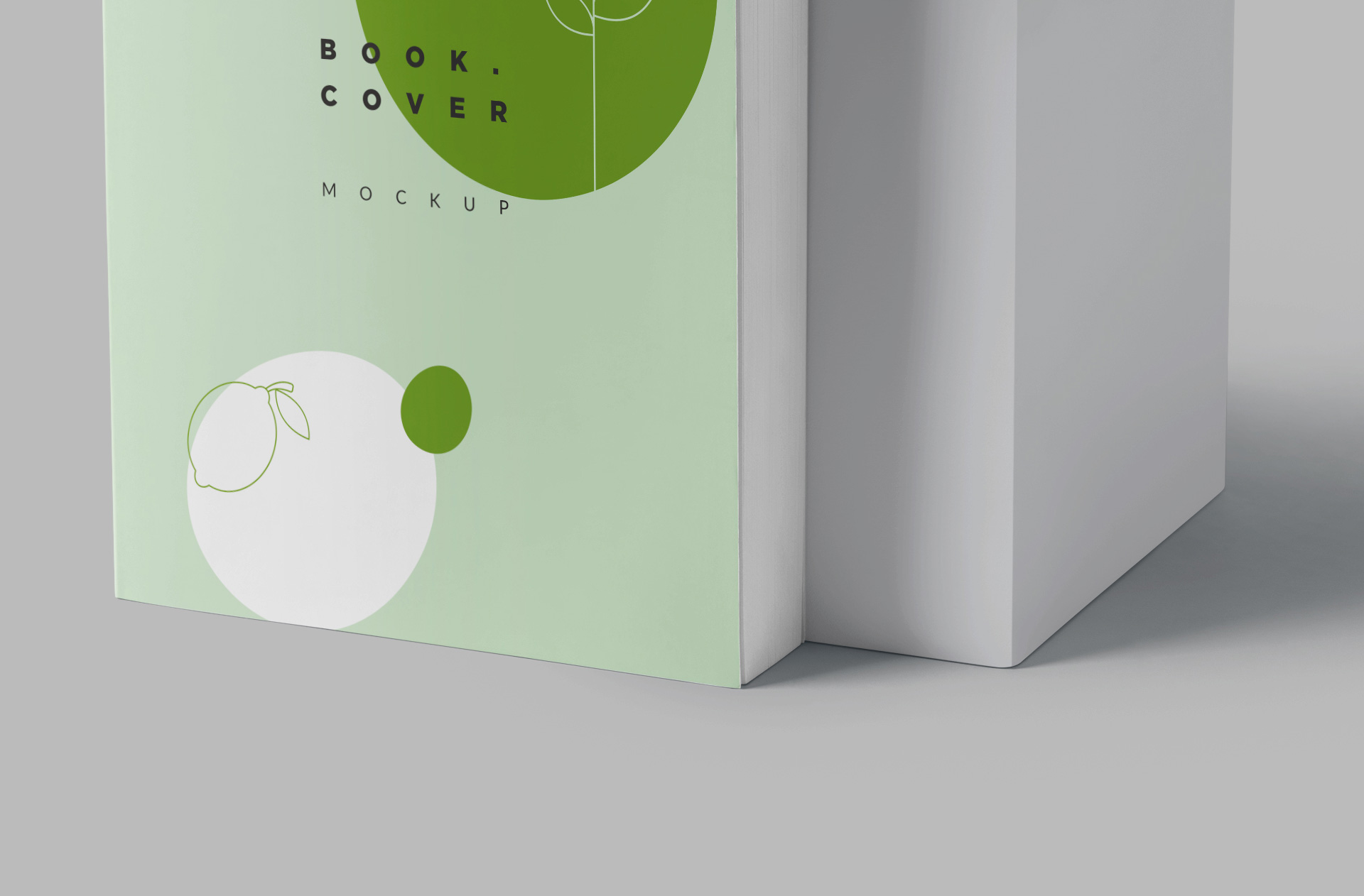 A5 book mock-up