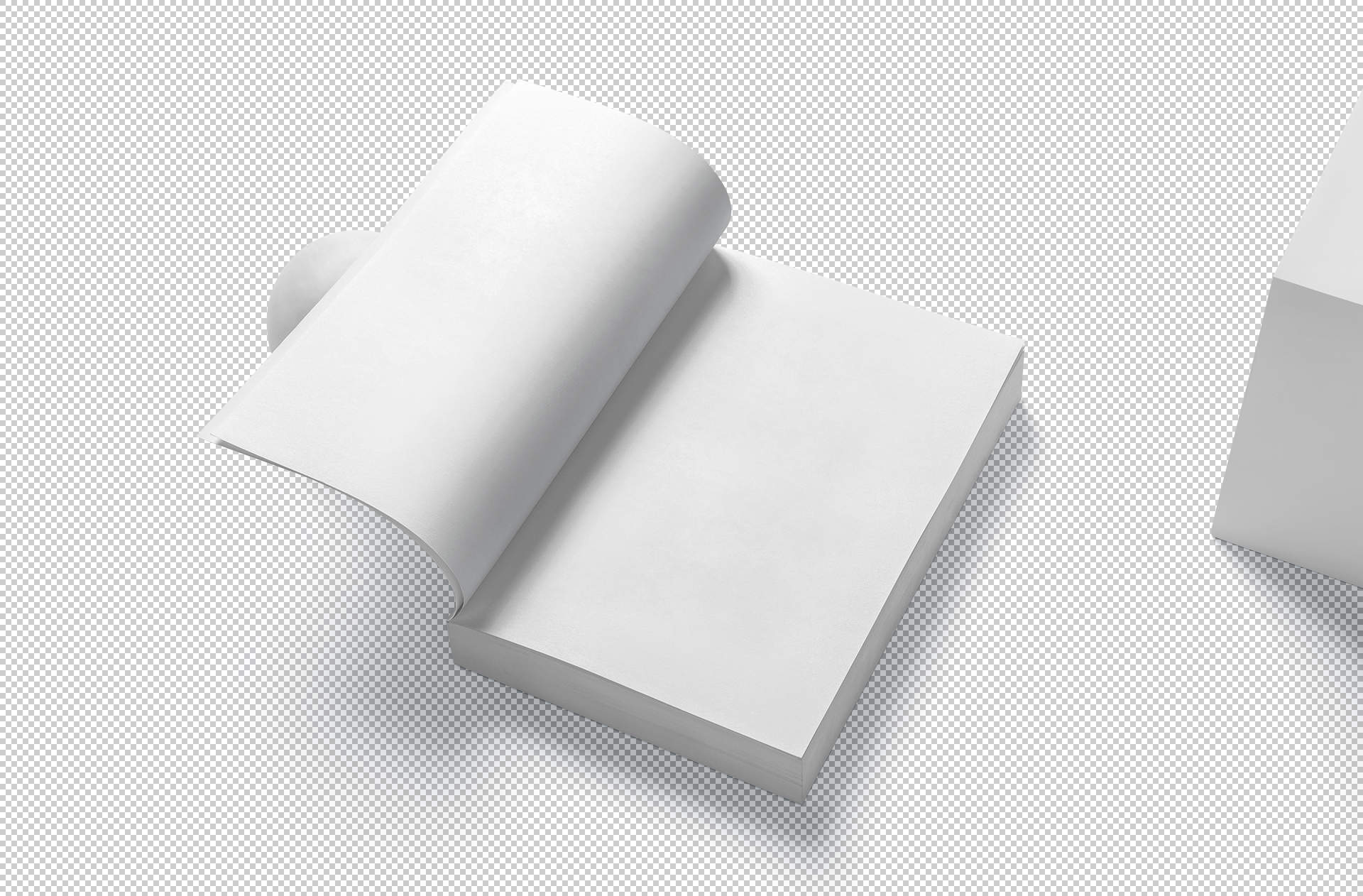 A4 book mock-up