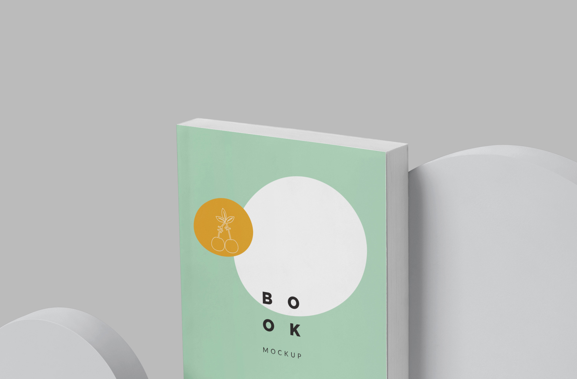 a5 book mockup