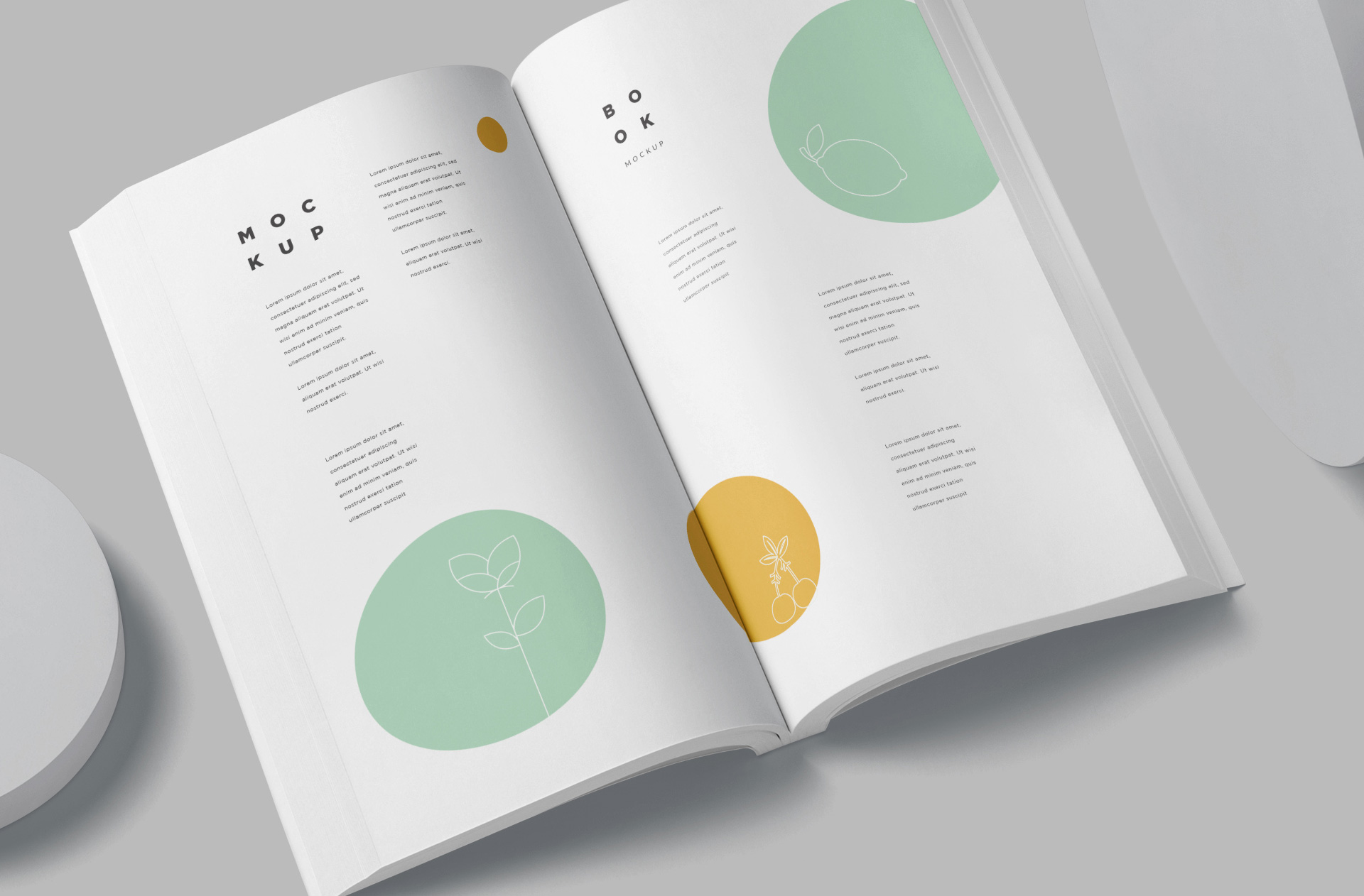 A4 book mockup
