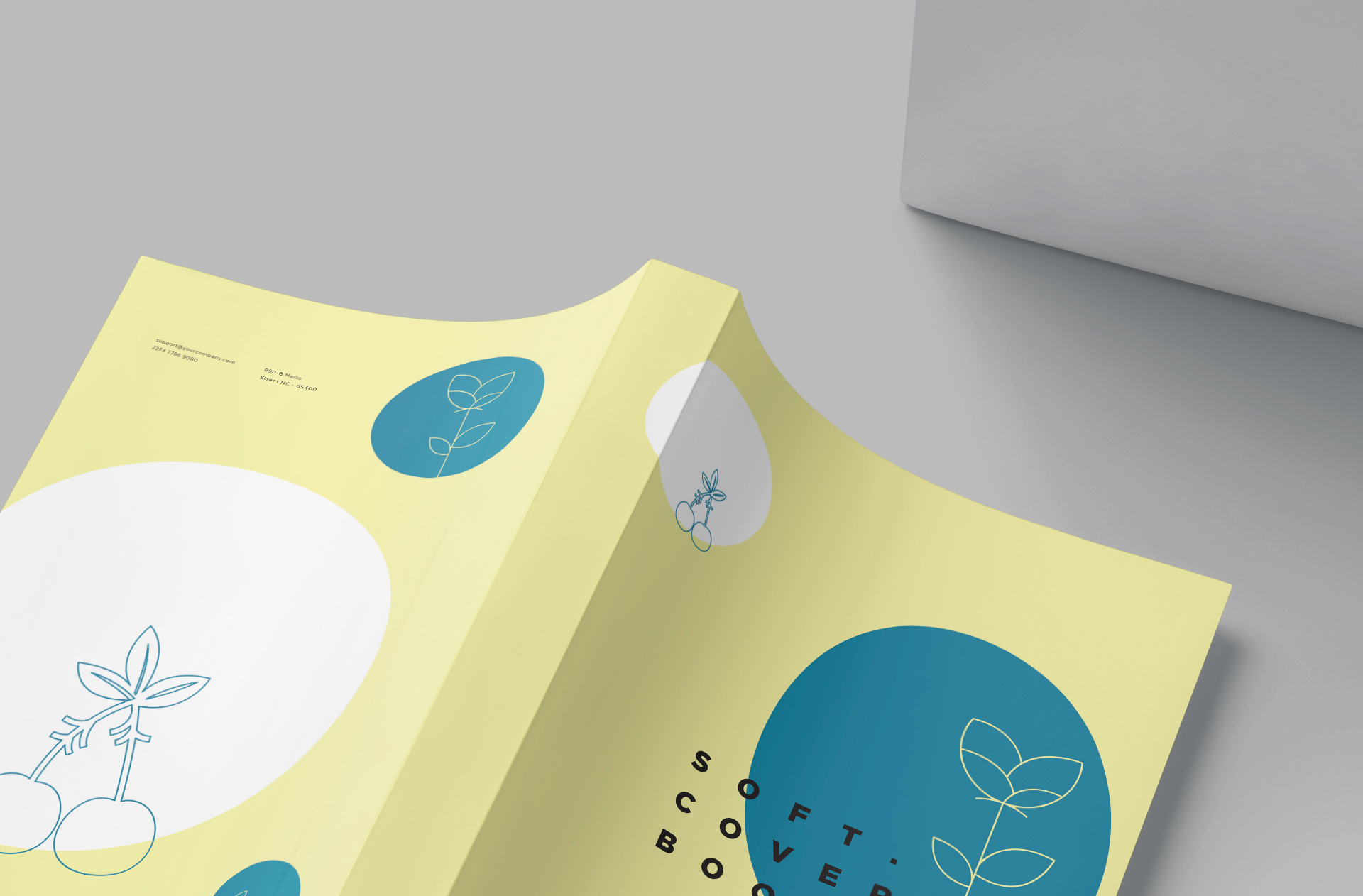 book mockup