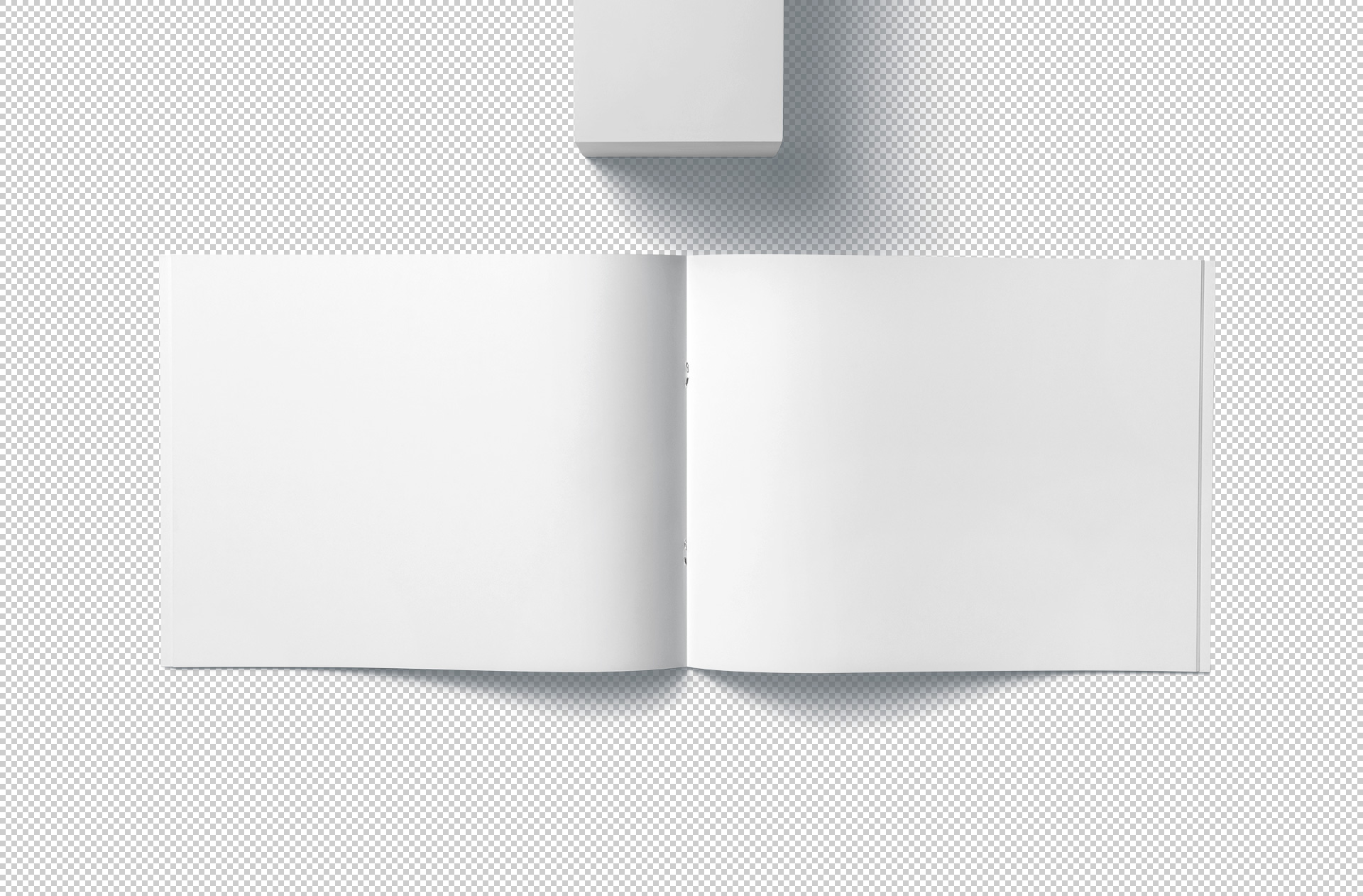 editorial layout mock-up