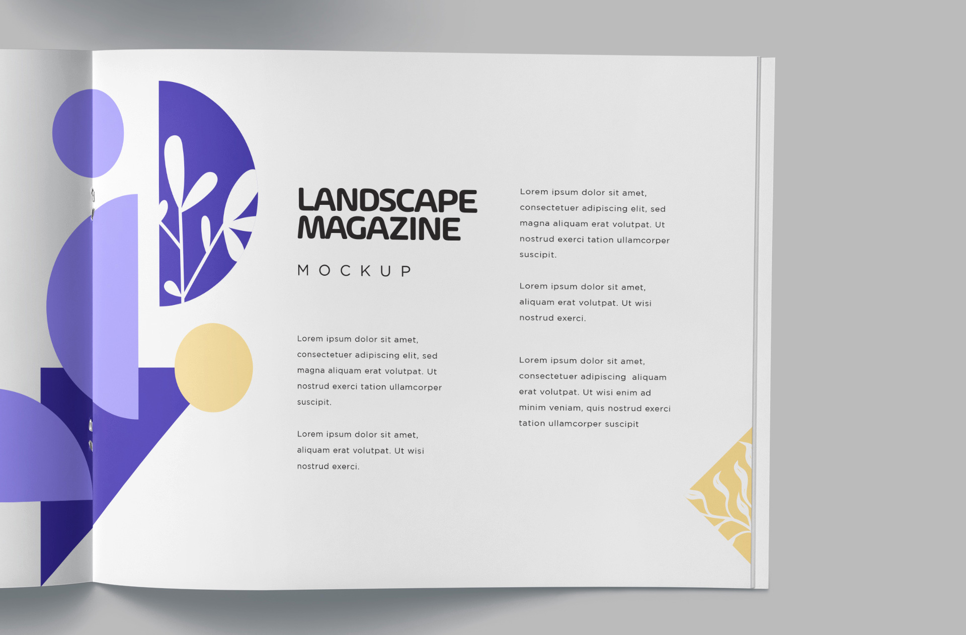 editorial layout mock-up