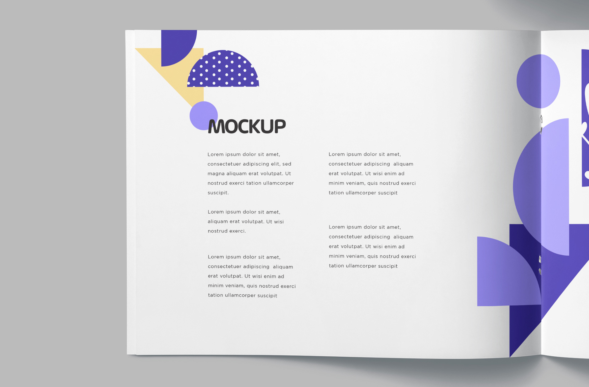 editorial layout mock-up