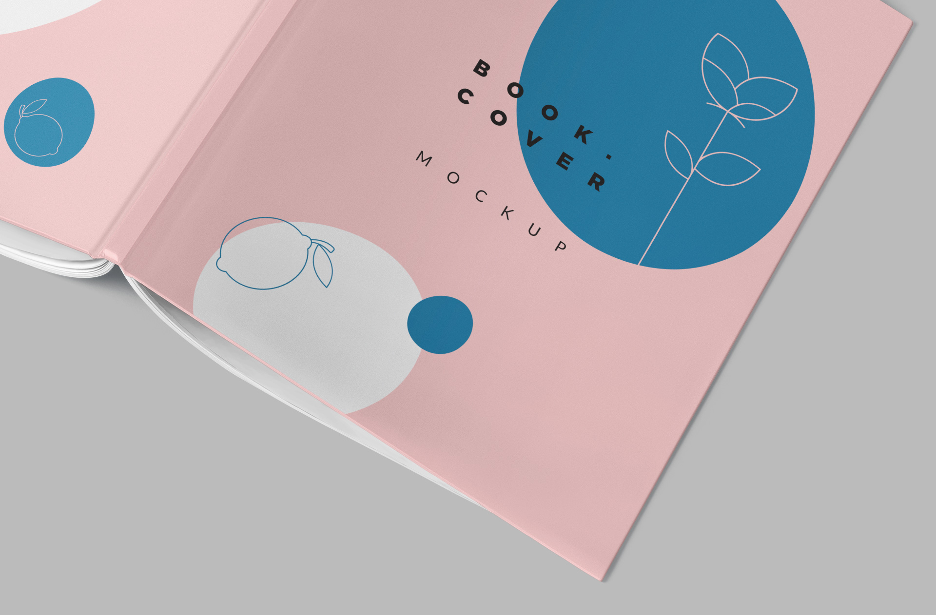 3D book mockup