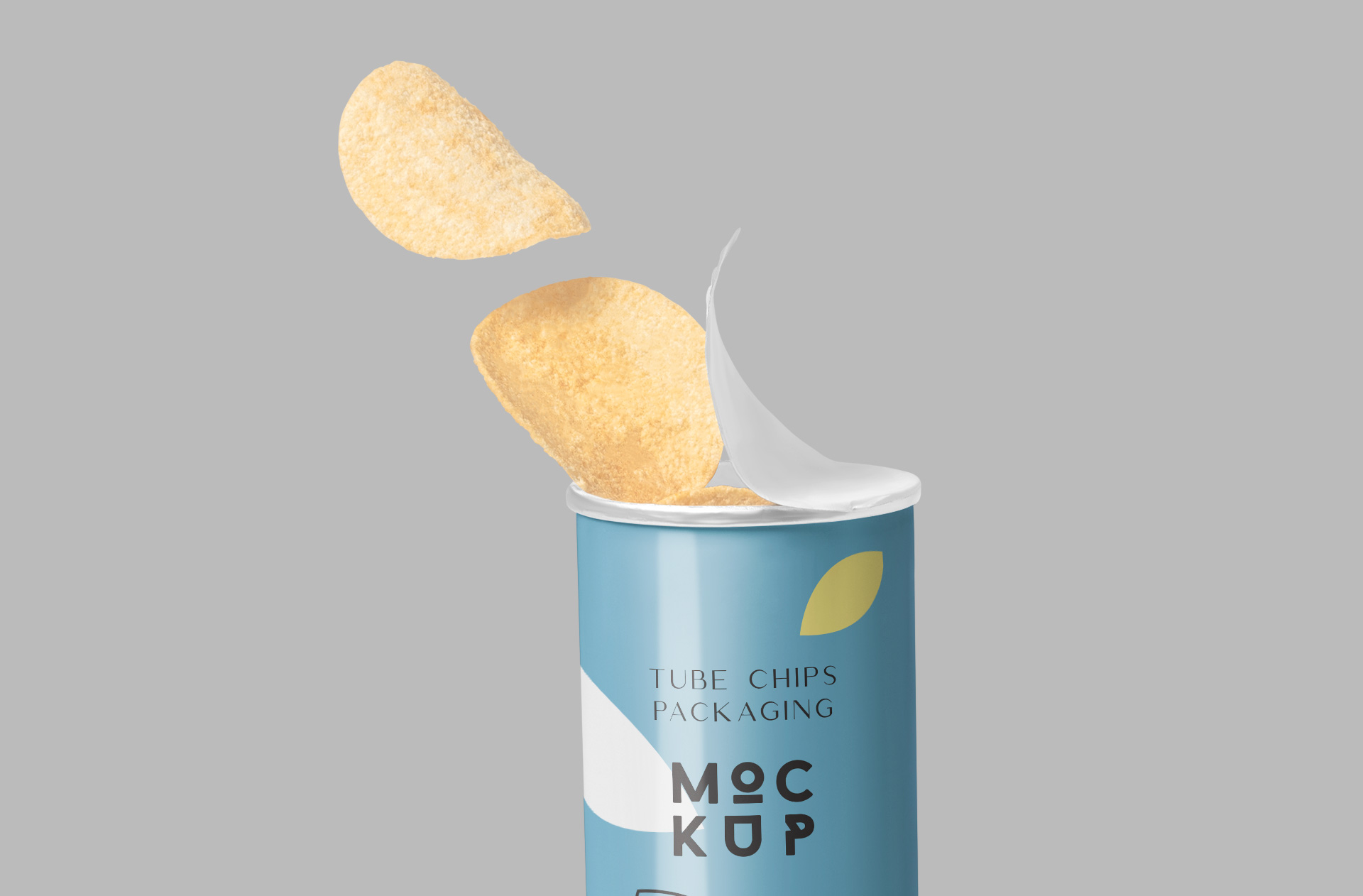 chips can mockup