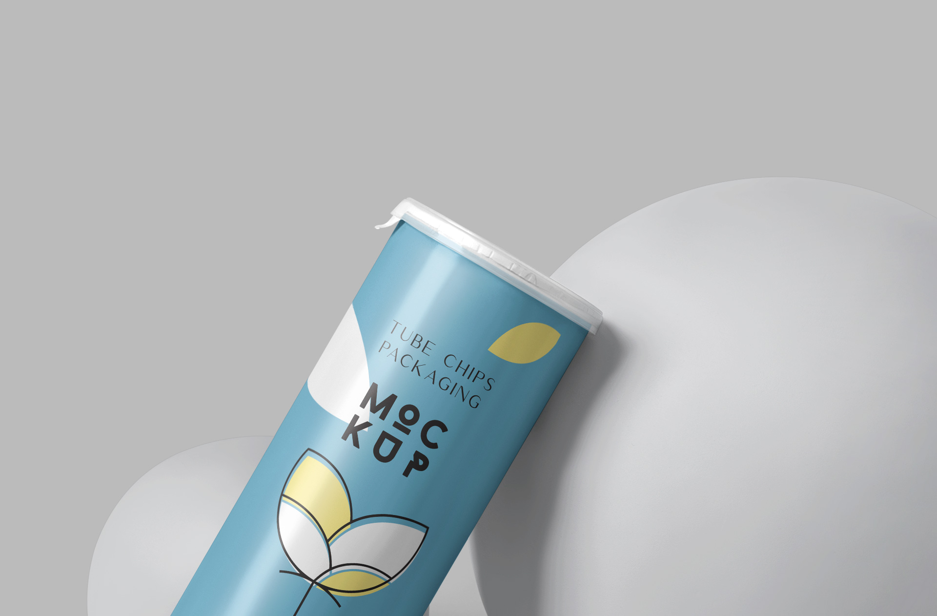 can packaging mockup