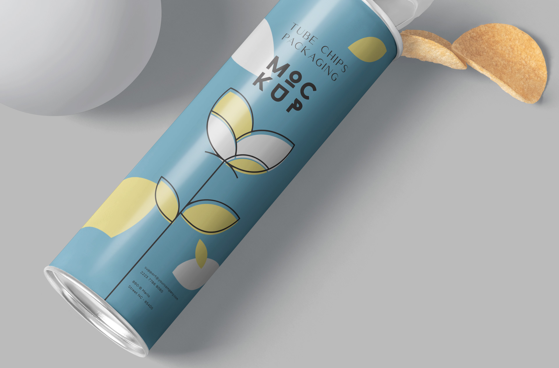 chips can mockup