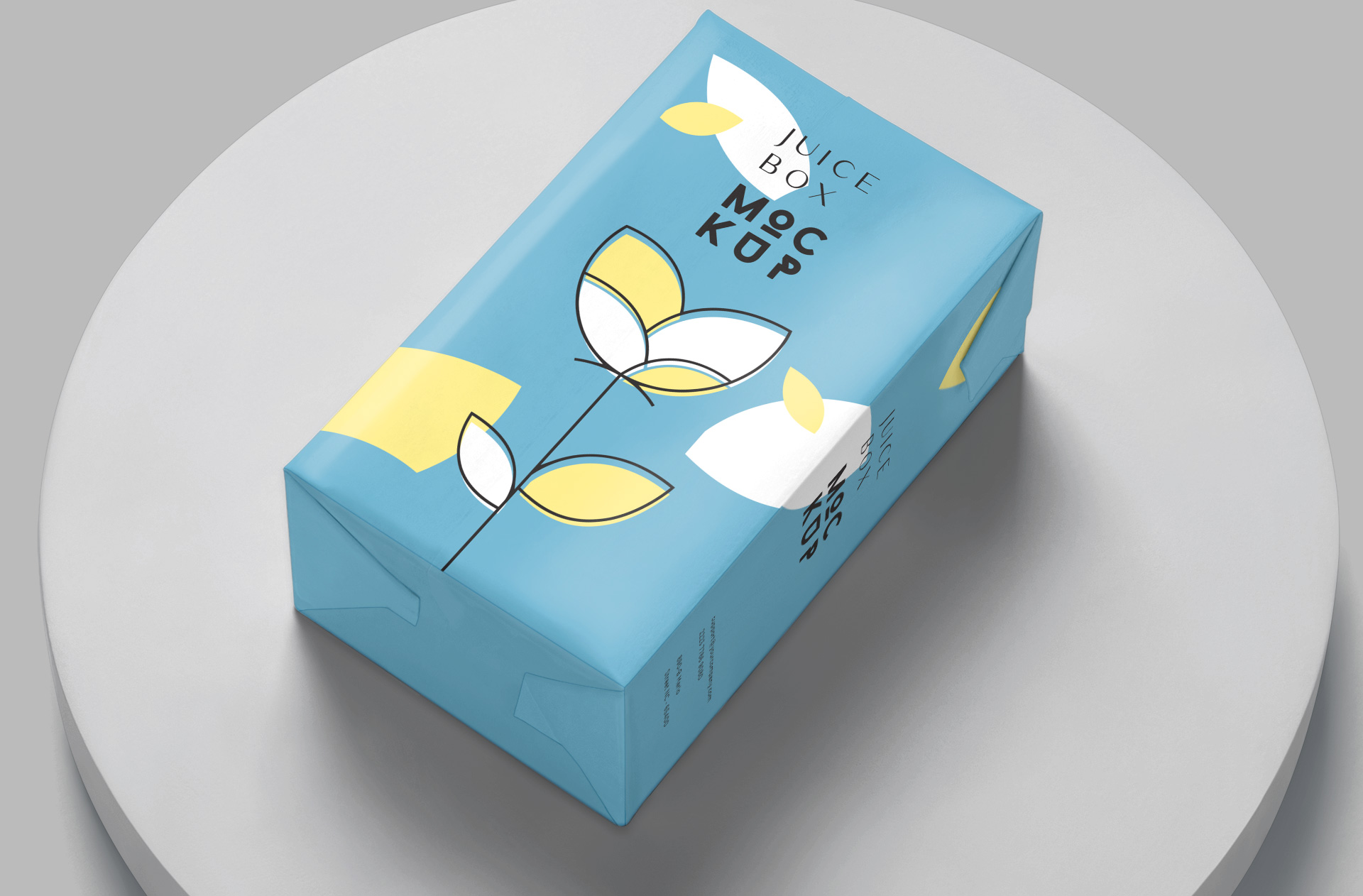 3D packaging mockup