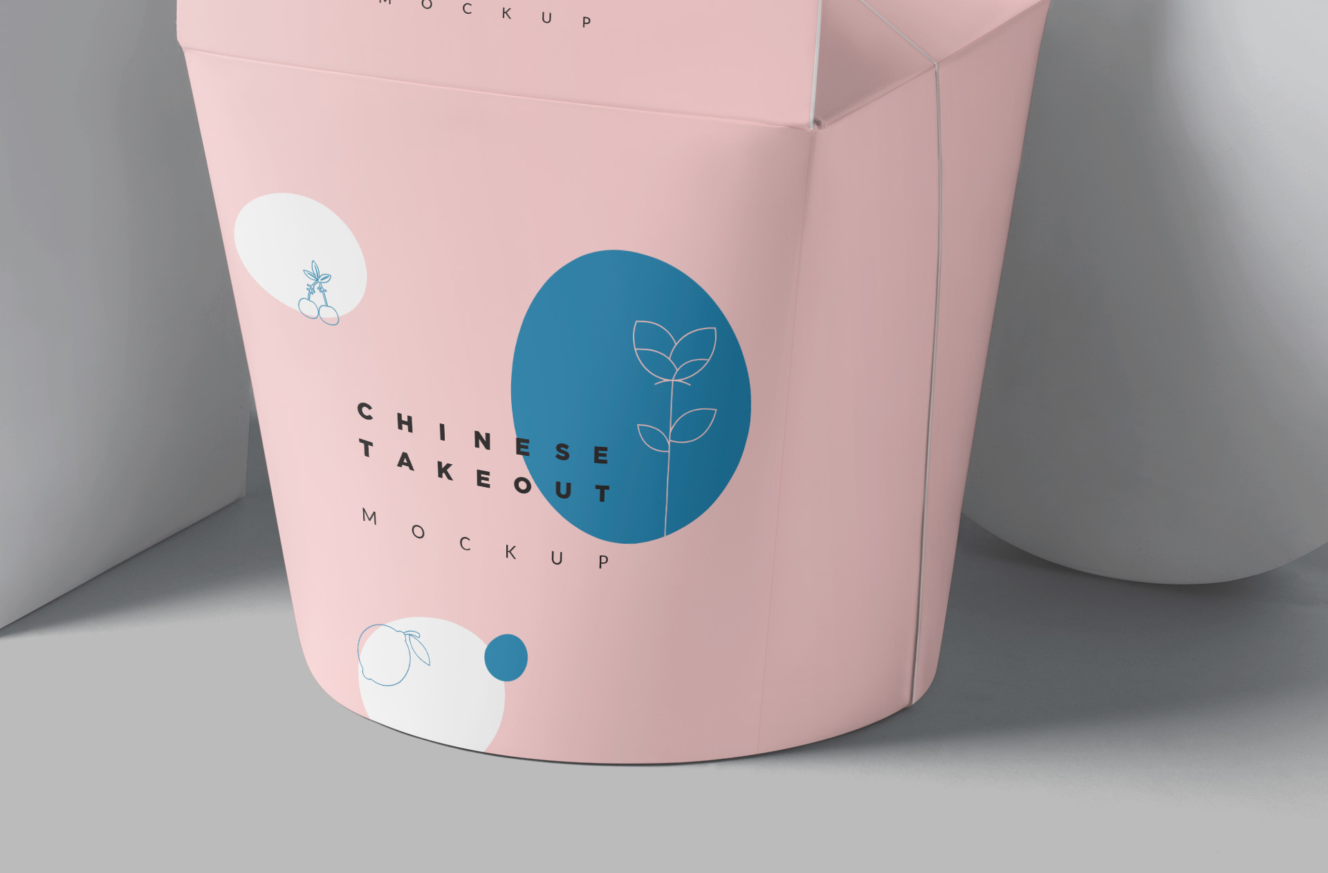 Asian food packaging
