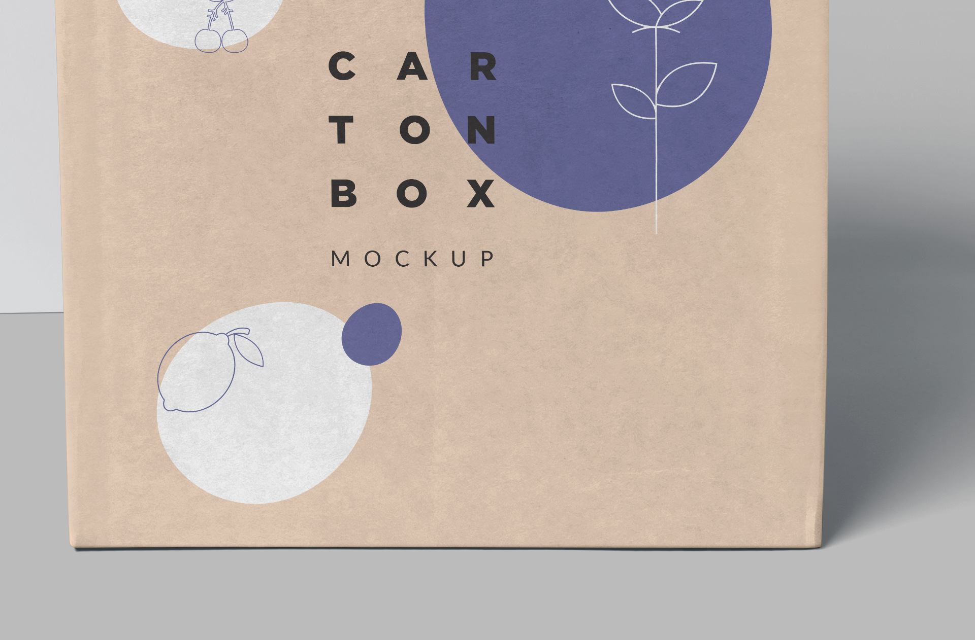 branding showcase