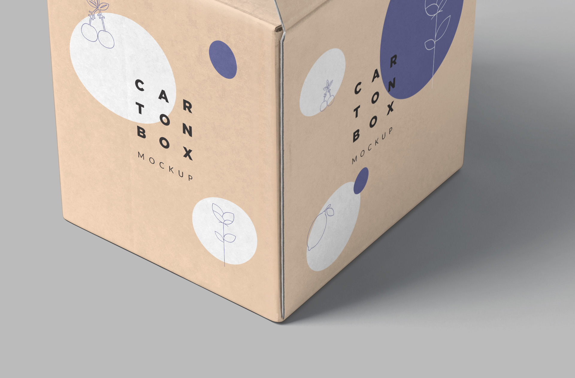 branding showcase