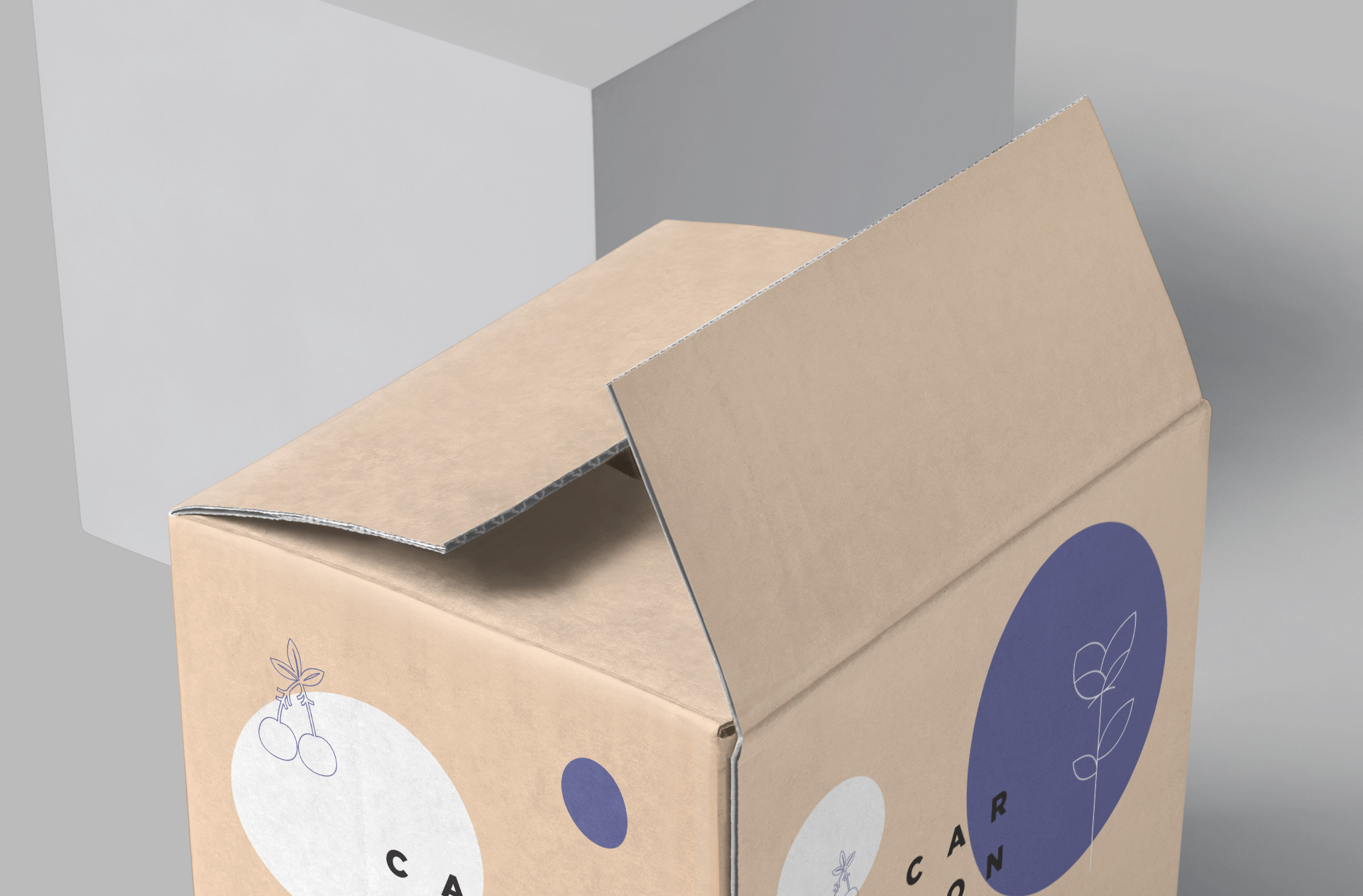branding showcase