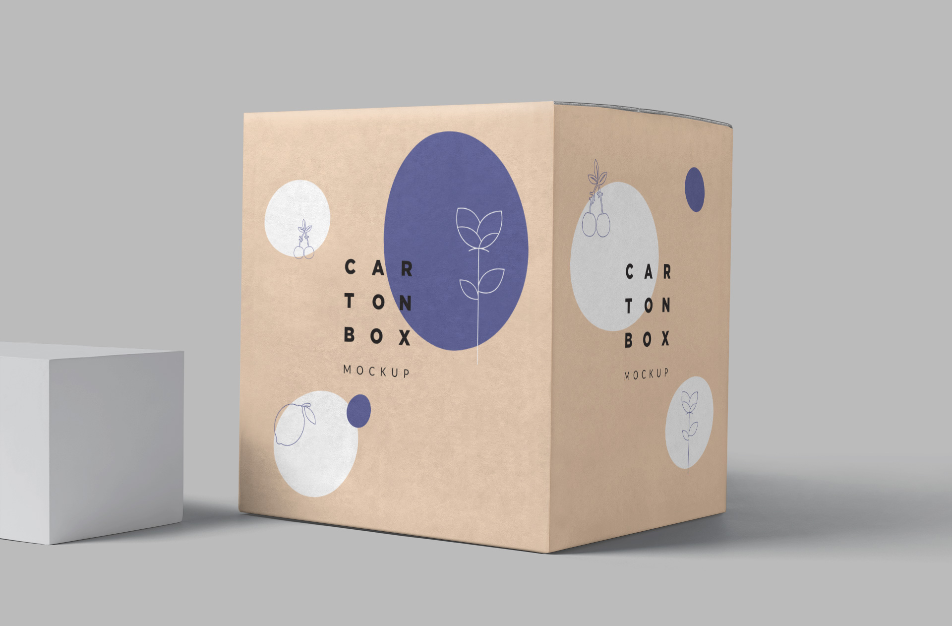 Kraft Packaging Box Mockup for Ecommerce Branding
