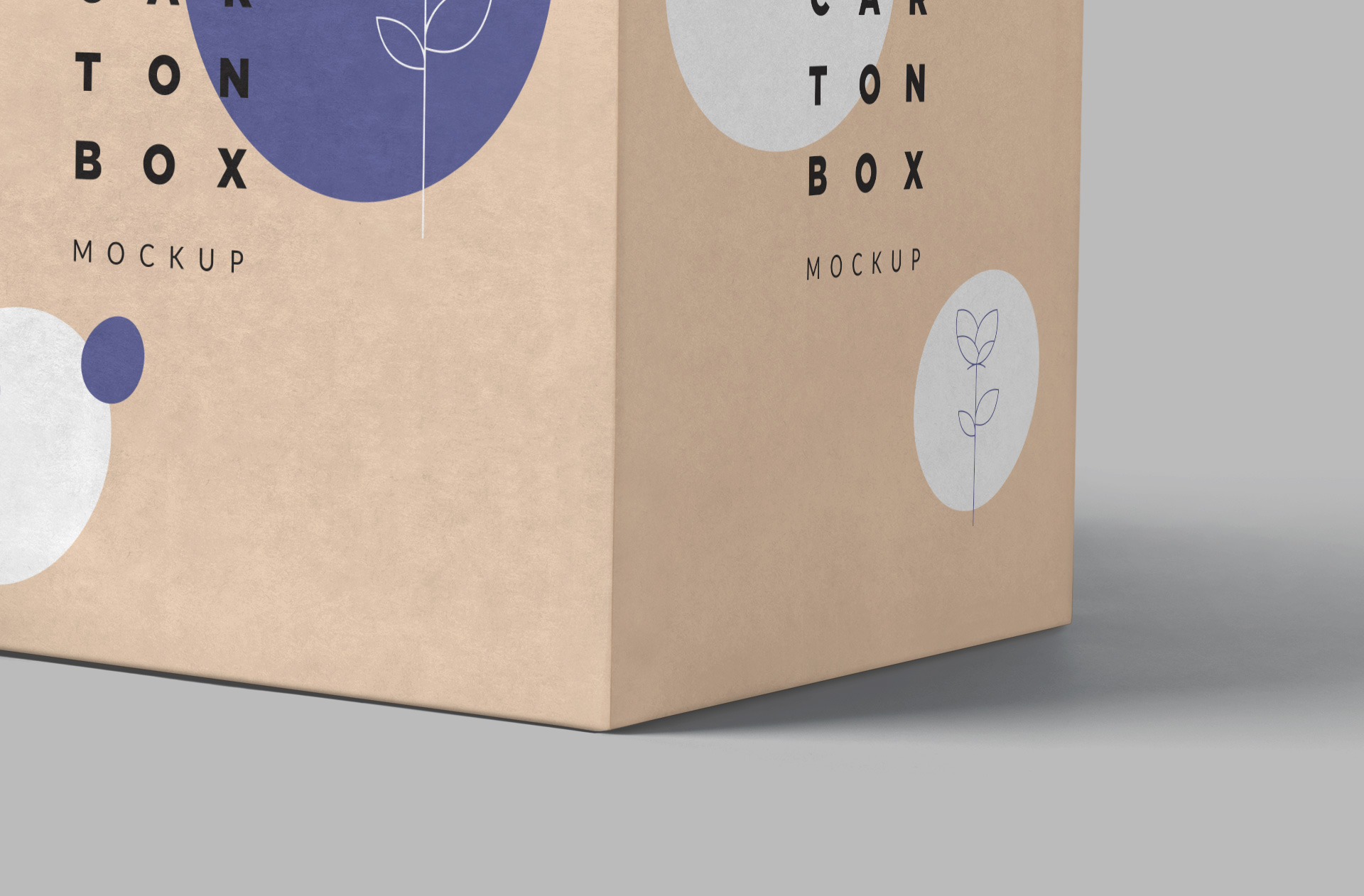 custom printed box mockup