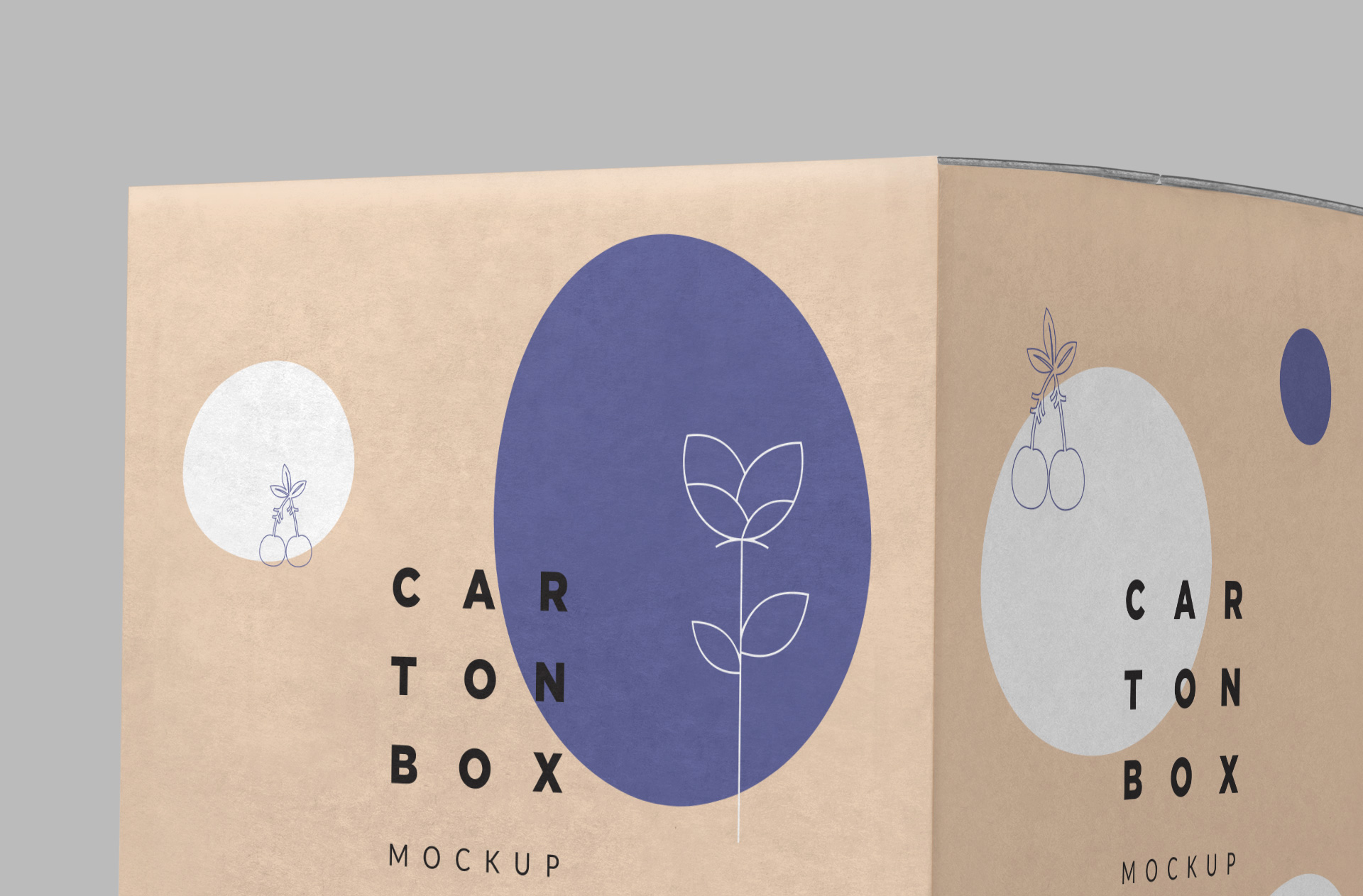 custom printed box mockup
