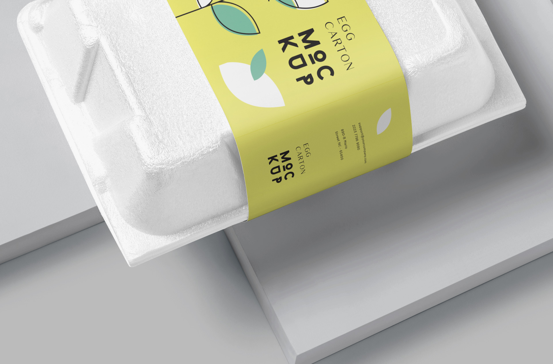 biodegradable packaging
