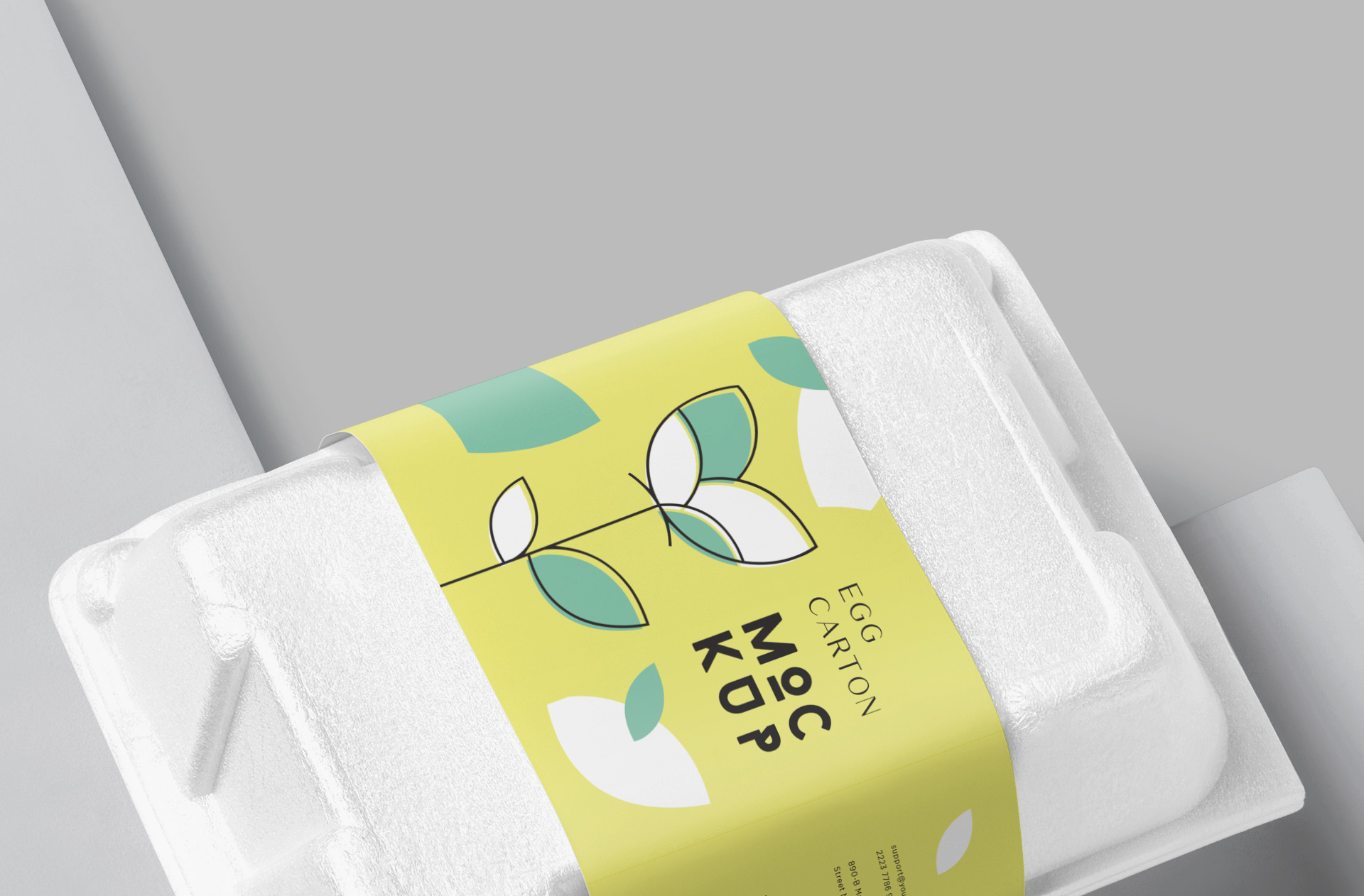 biodegradable packaging