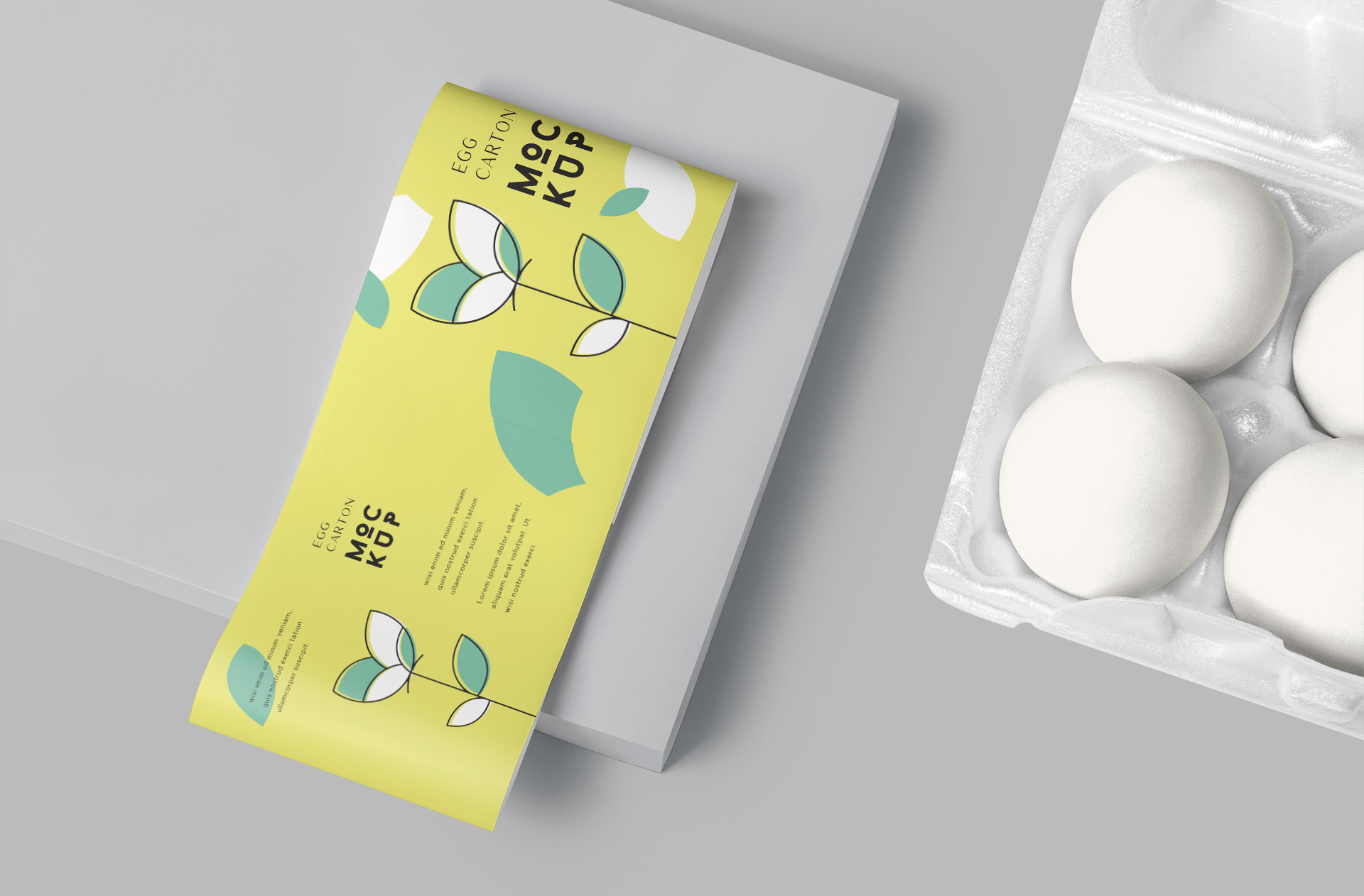 Premium Egg Carton Packaging Mockup for Branding