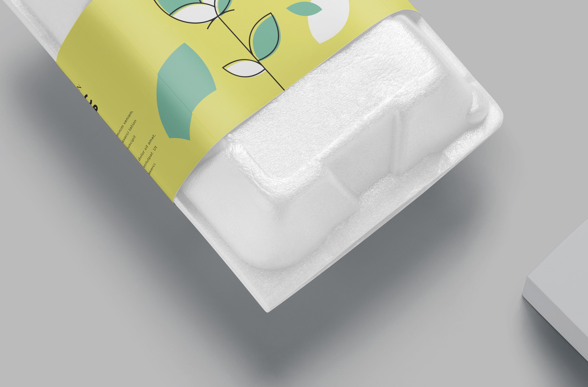 biodegradable egg box