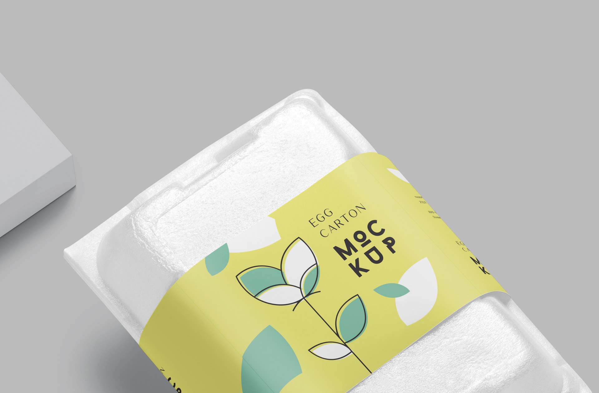 biodegradable egg box