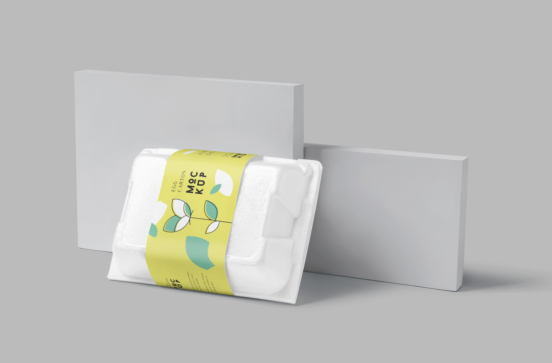 Professional Egg Carton Mockup for Organic Food Packaging