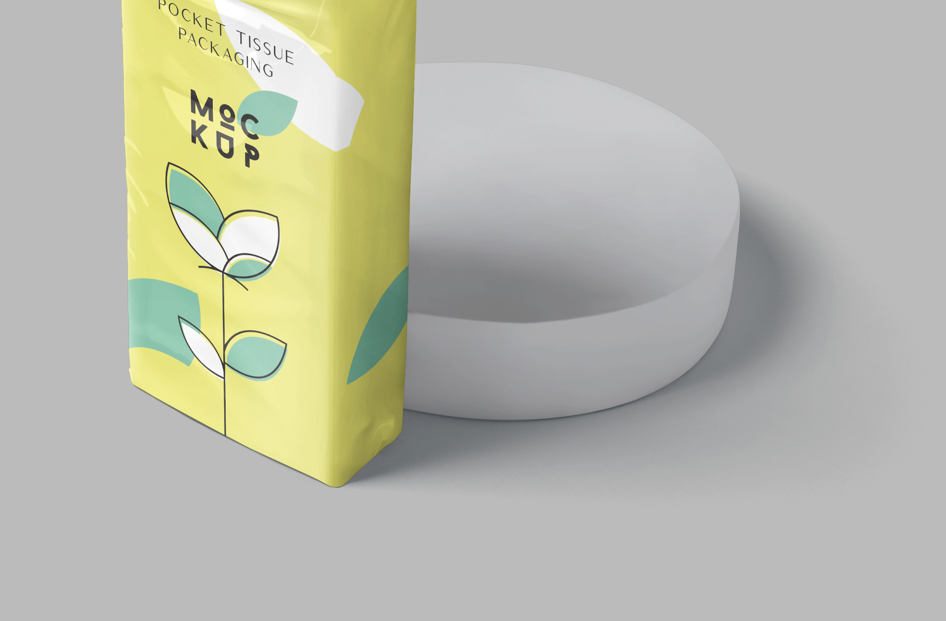 branding mockup
