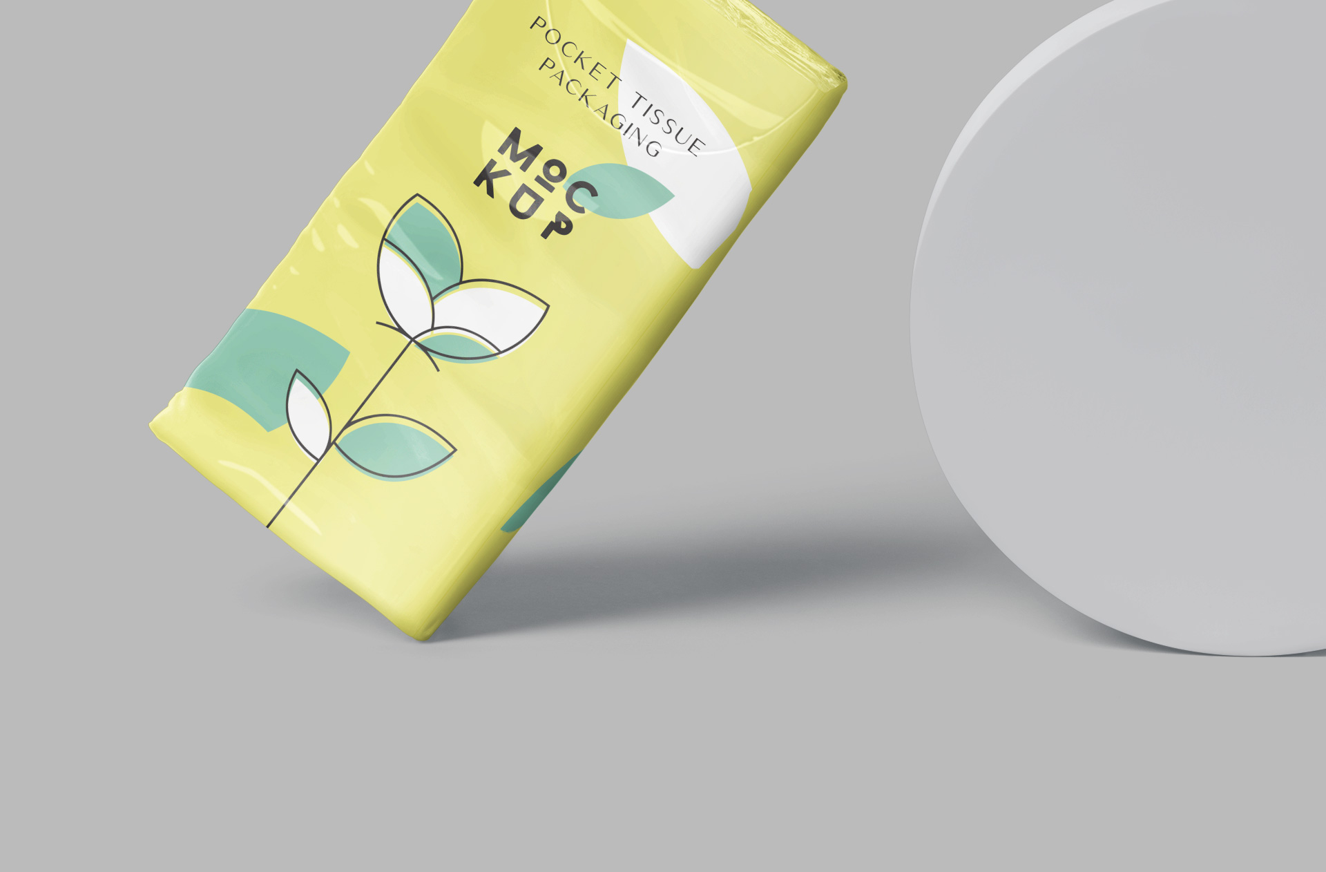 branding mockup