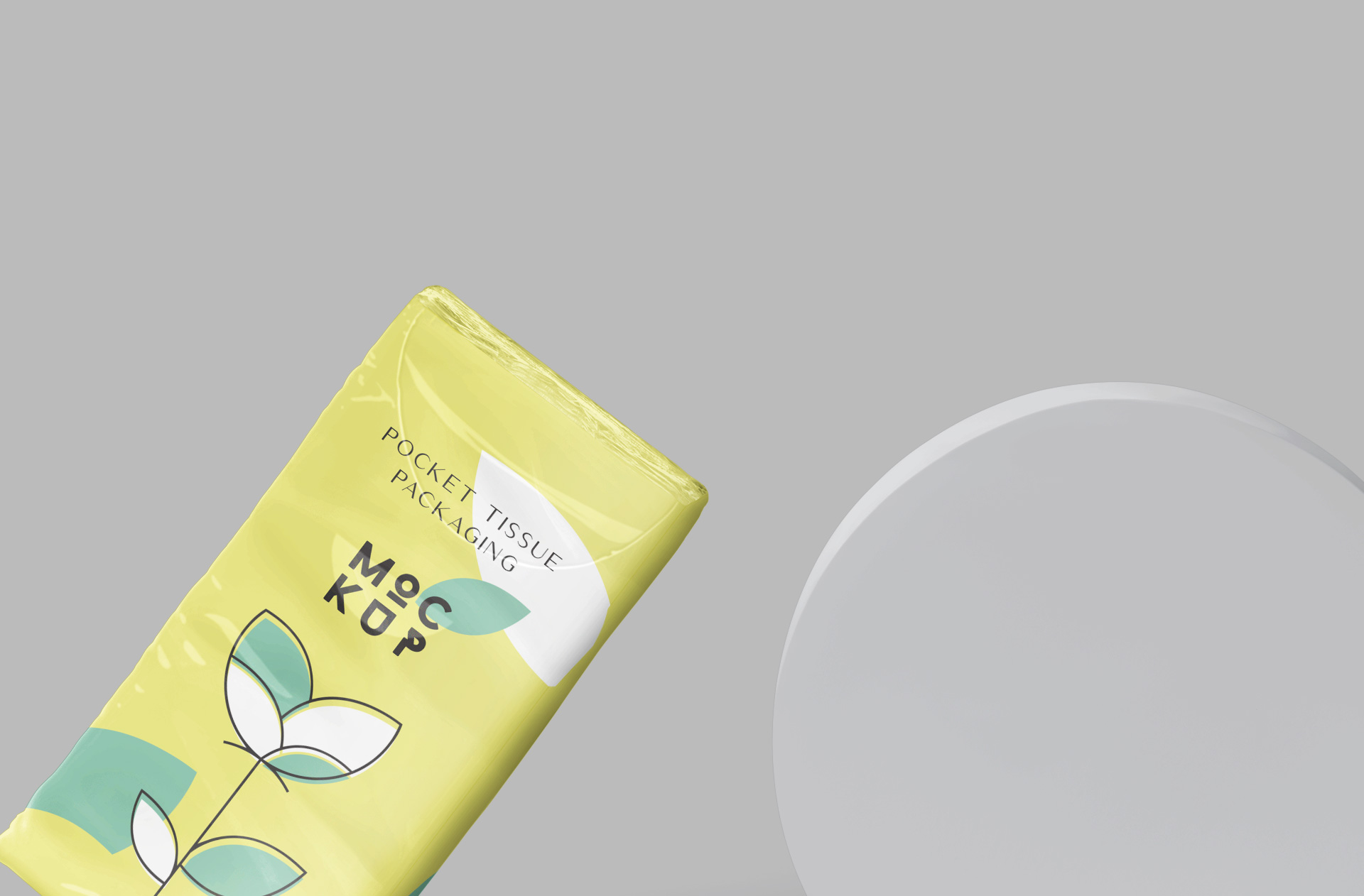 branding mockup