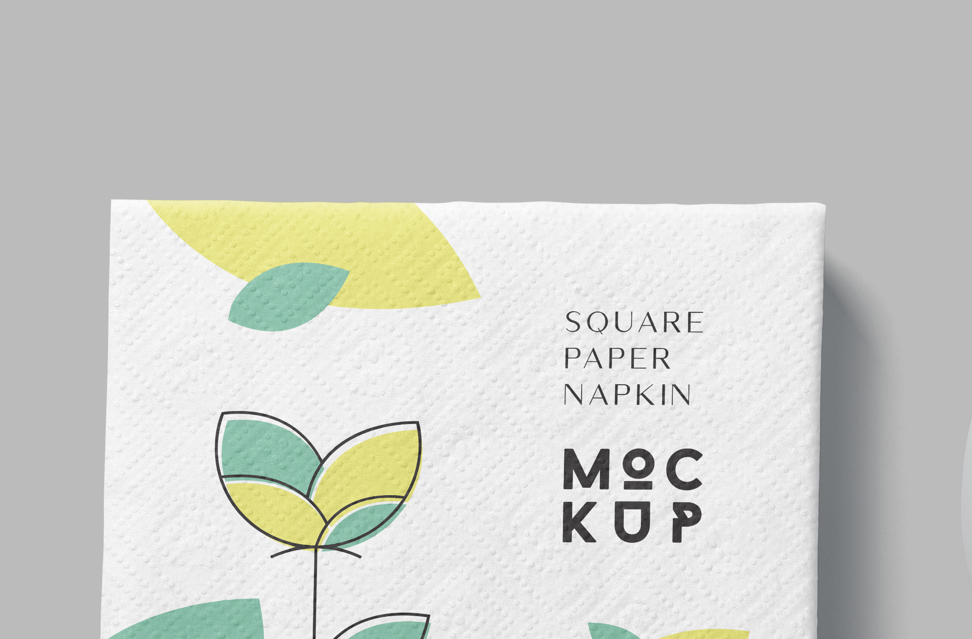 branding mockup