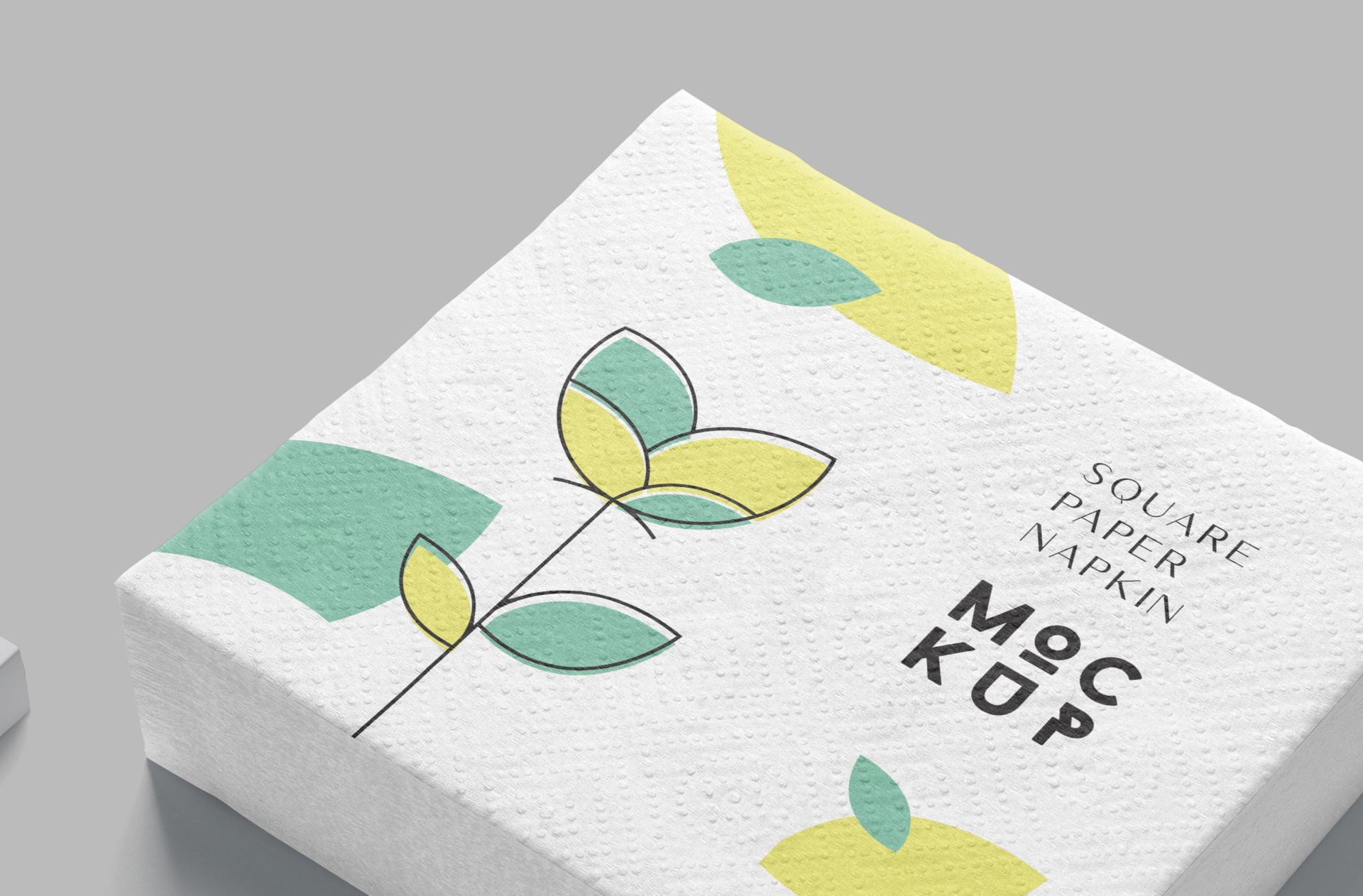 branding mockup
