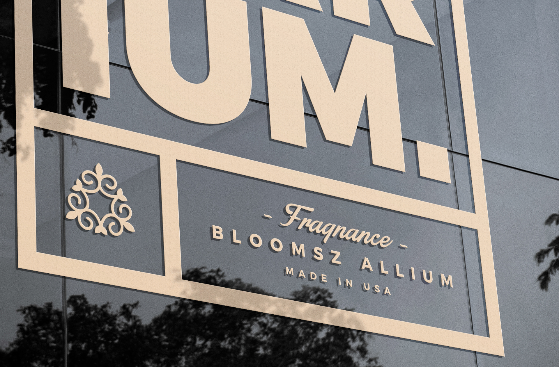 high-quality branding showcase