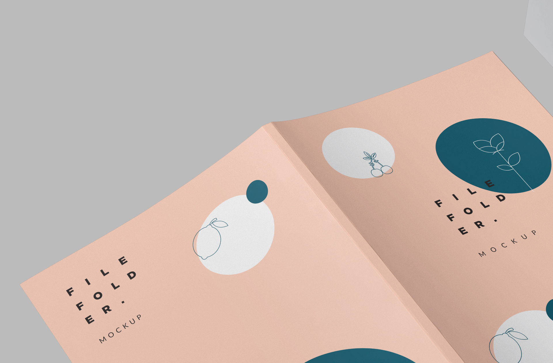 clean folder mock-up