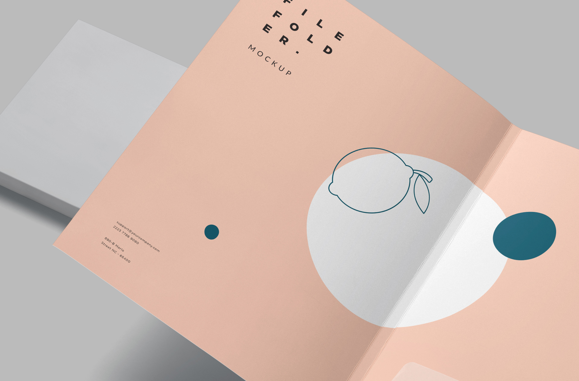 branding folder PSD